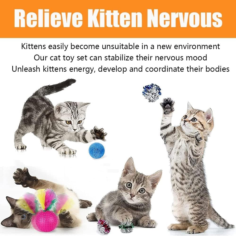 21 Piece Cat Toys for Kittens and Cats — image 3