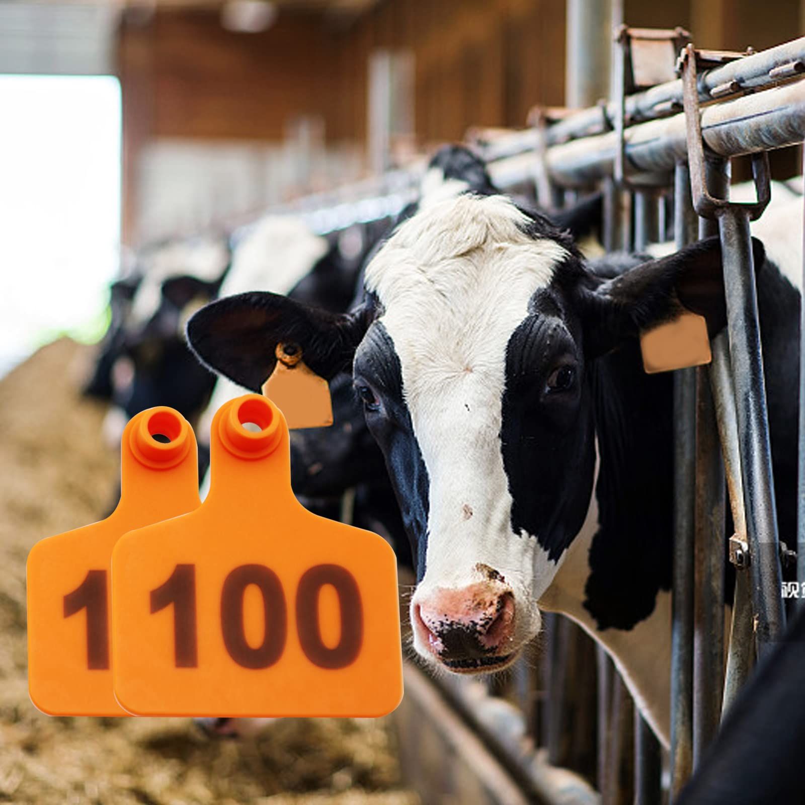 100PCS Cattle Ear Tags Numbered 001-100, Plastic Livestock Animal Ear Tag for Cows Sheep Animal Identification Earring Tagger — image 5
