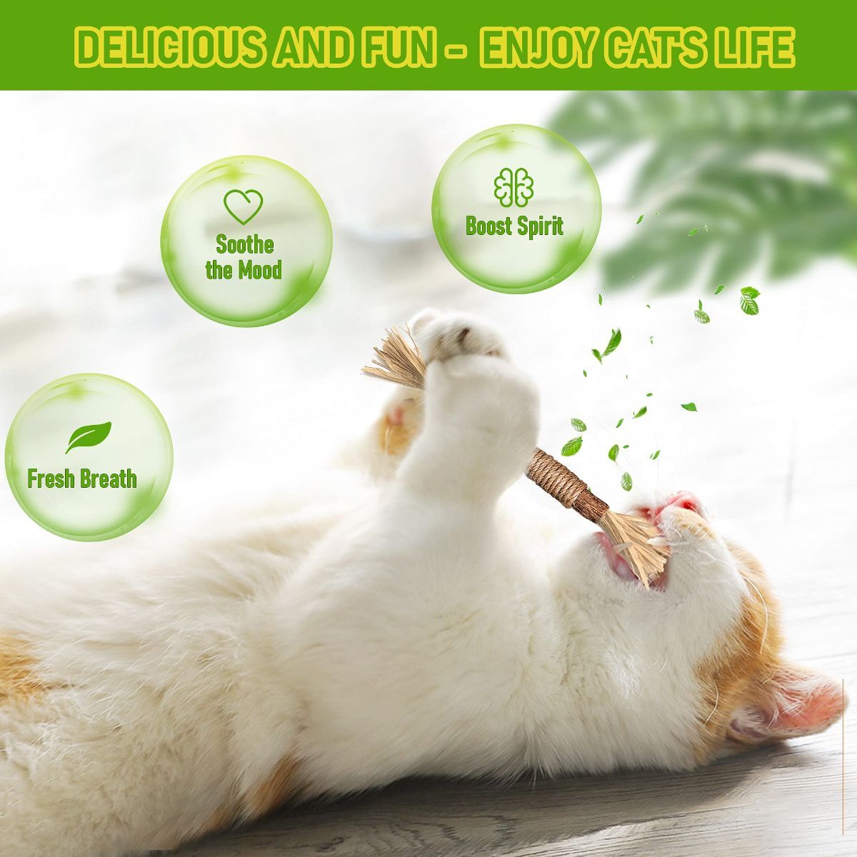 5 Cat Chew Sticks Cat Toys Cat Dental Care Natural Cat Toys Kitten Teething Toys — image 2