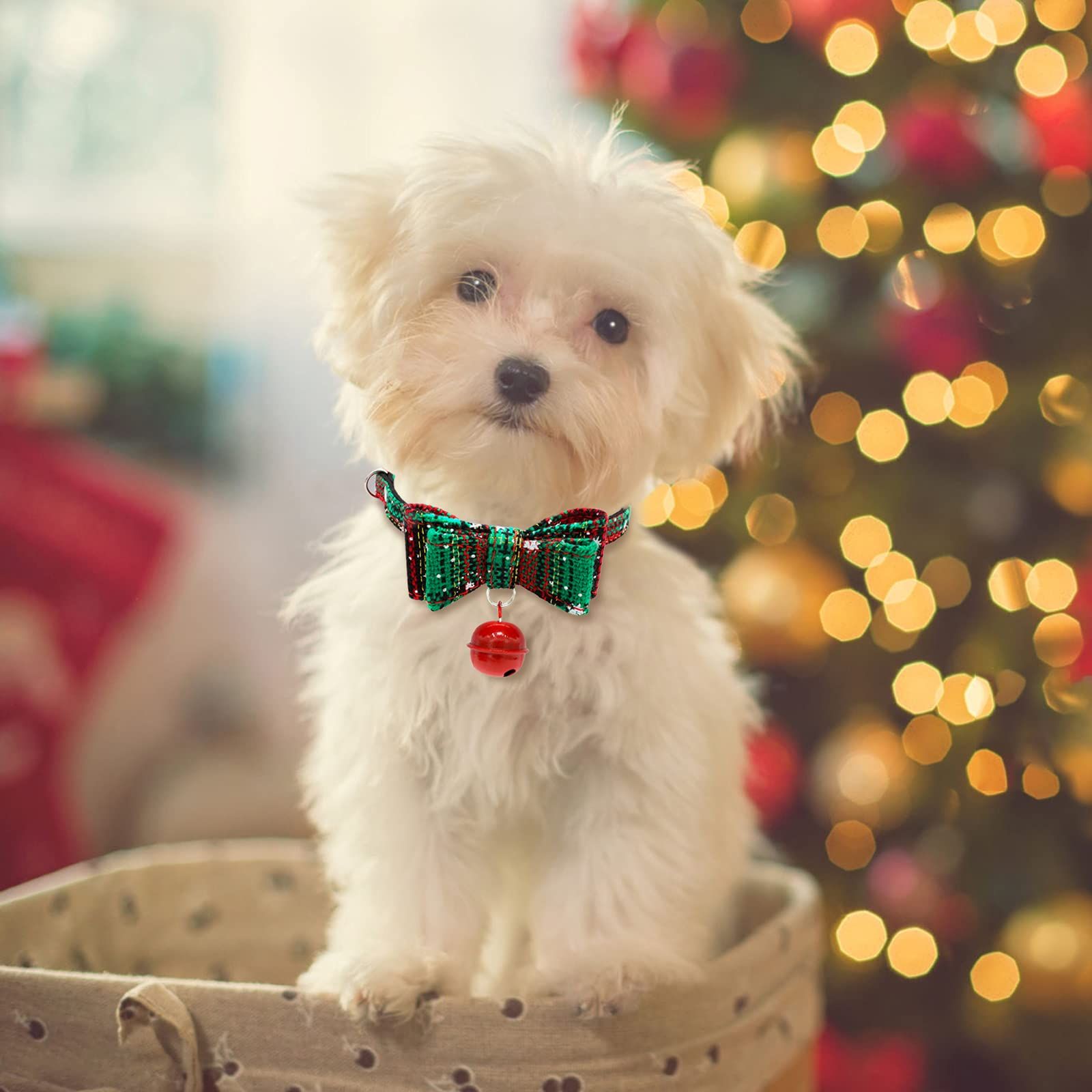 2 Pack/Set Christmas Cat Collar Breakaway Kitten Collars with Bow Tie and Bell Santa Outfit for Cats, Small Dogs, Rabbits — image 5
