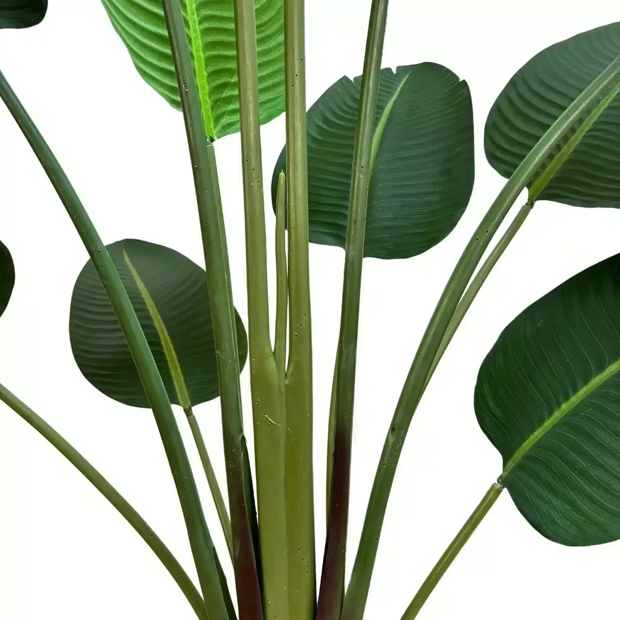 Grand Artificial Potted Travellers Palm (Banana Palm Tree) 180cm โ image 4