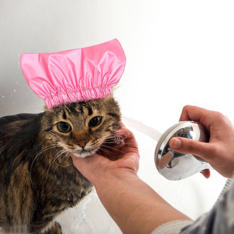 Cap Pet Shower and Bath Supplies Pet Bath Accessories Prevent Water in Pet Cat Ears Headgear Pet Waterproof,Bathing Cap — image 2