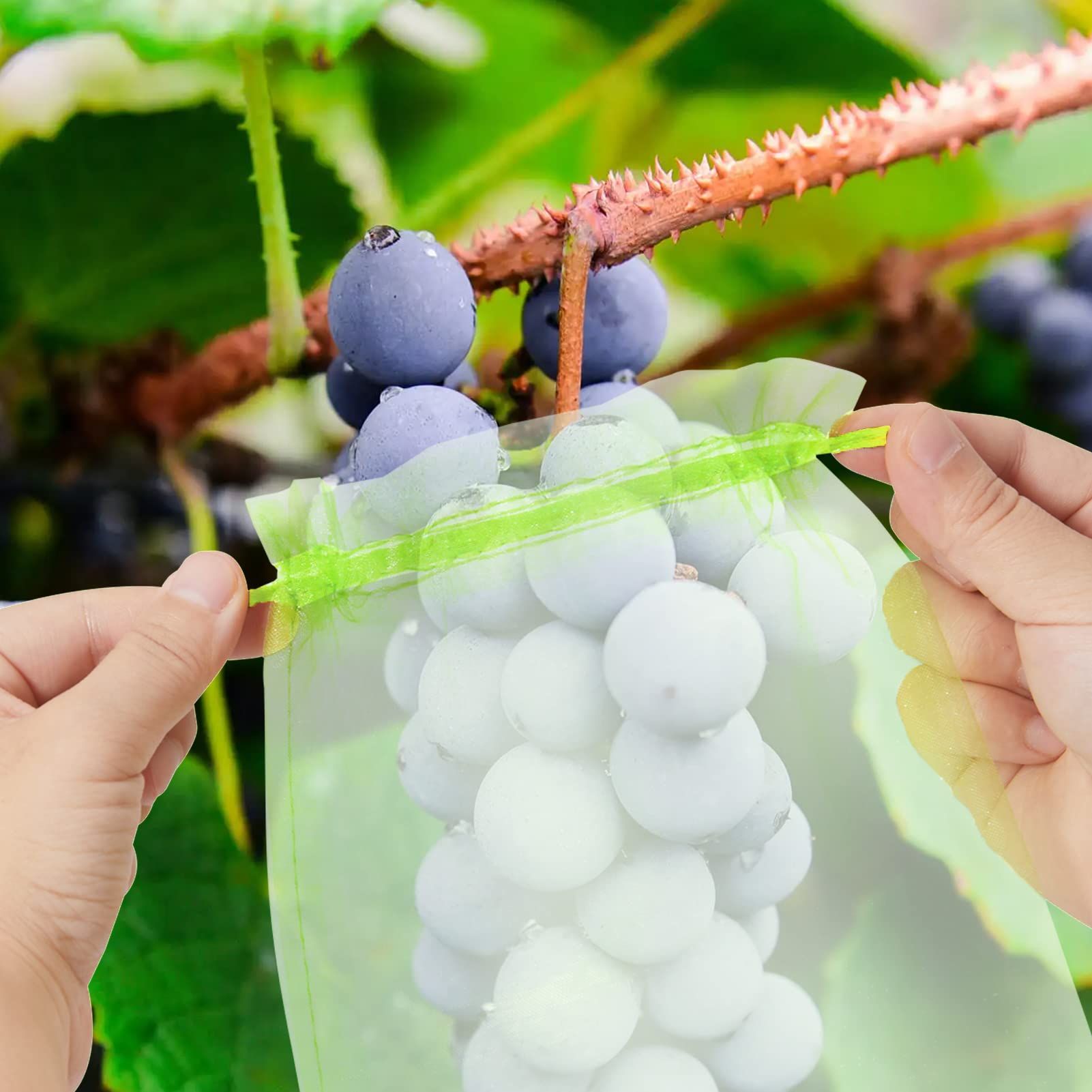 50pcs Green Fruit Protection Bags Fruit Cover Mesh Bag with Drawstring, Protecting Vegetables and Fruits from Birds and Pests โ image 5