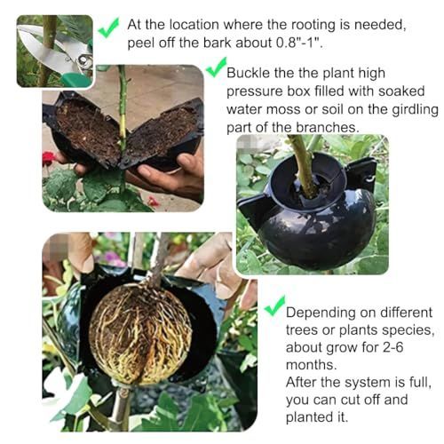 20 PCS Air Layering Propagation Kit with Zip Ties, Reusable Grafting Ball, Clear Air Layering Pods, Rooting Ball for Fast Propagation (Small) — image 6
