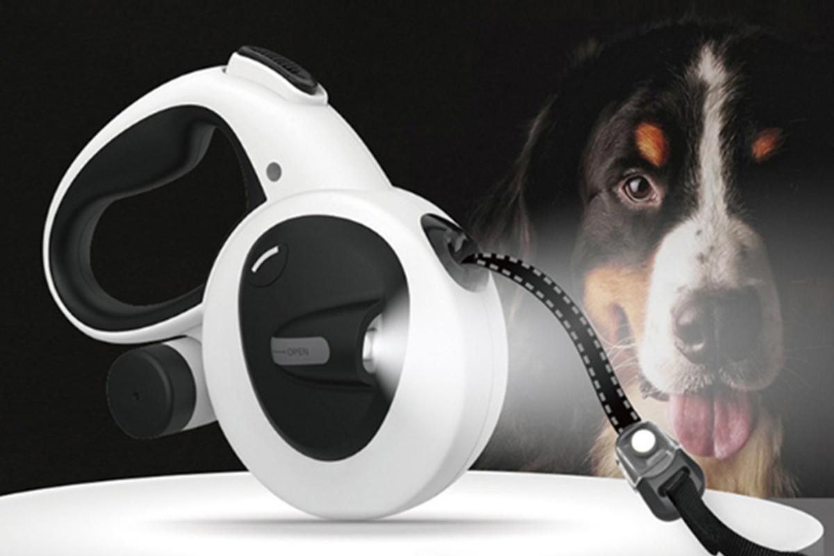 5m Auto Retractable Dog Leash with LED Light Pet Walking Lead for Small Medium Large Dogs - L — image 3