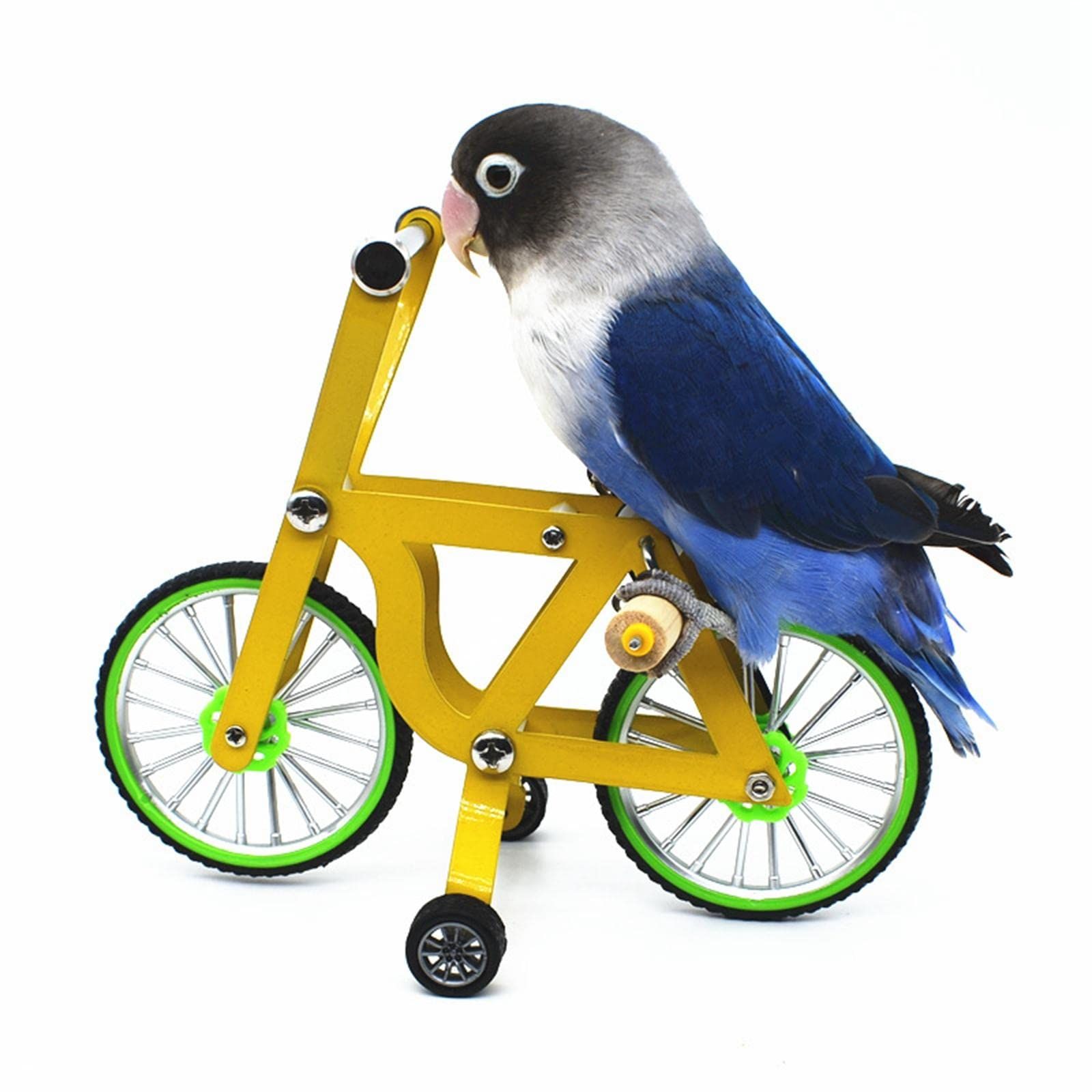Bird Intelligence Training Toy for Small Medium Birds - Parrot Puzzle Bicycle & Table Top Trick Prop - Foot Talon Toy for African Grey, Cockatoo & — image 3