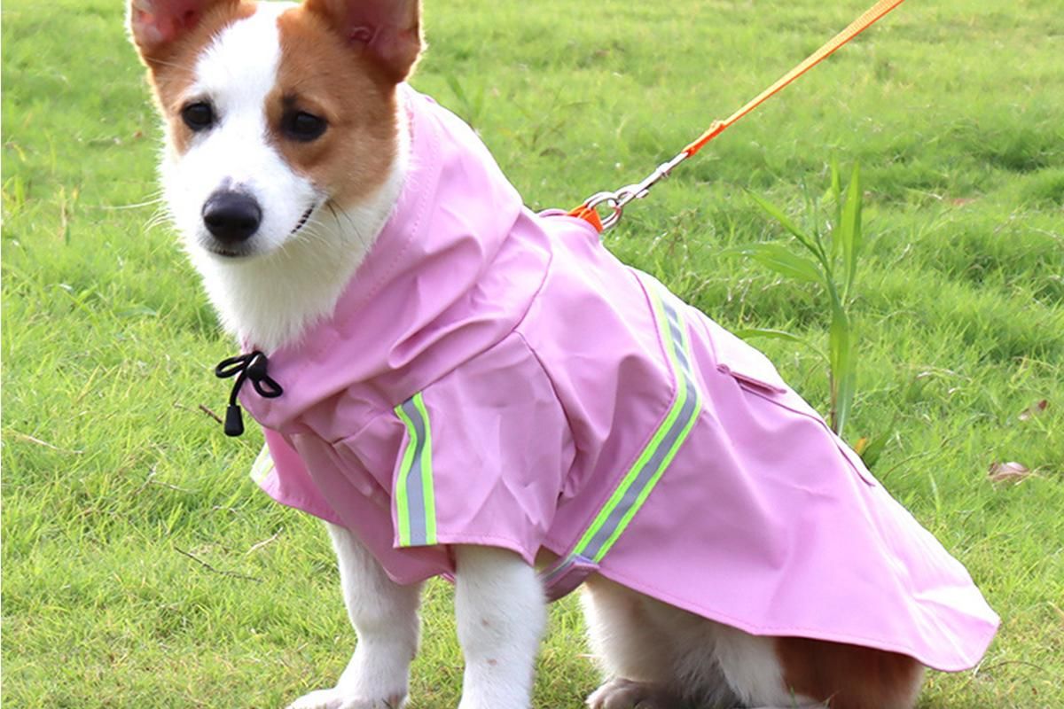 Pet Raincoat Outdoor Waterproof Dog Poncho for Small and Medium Dogs - Pink โ image 3