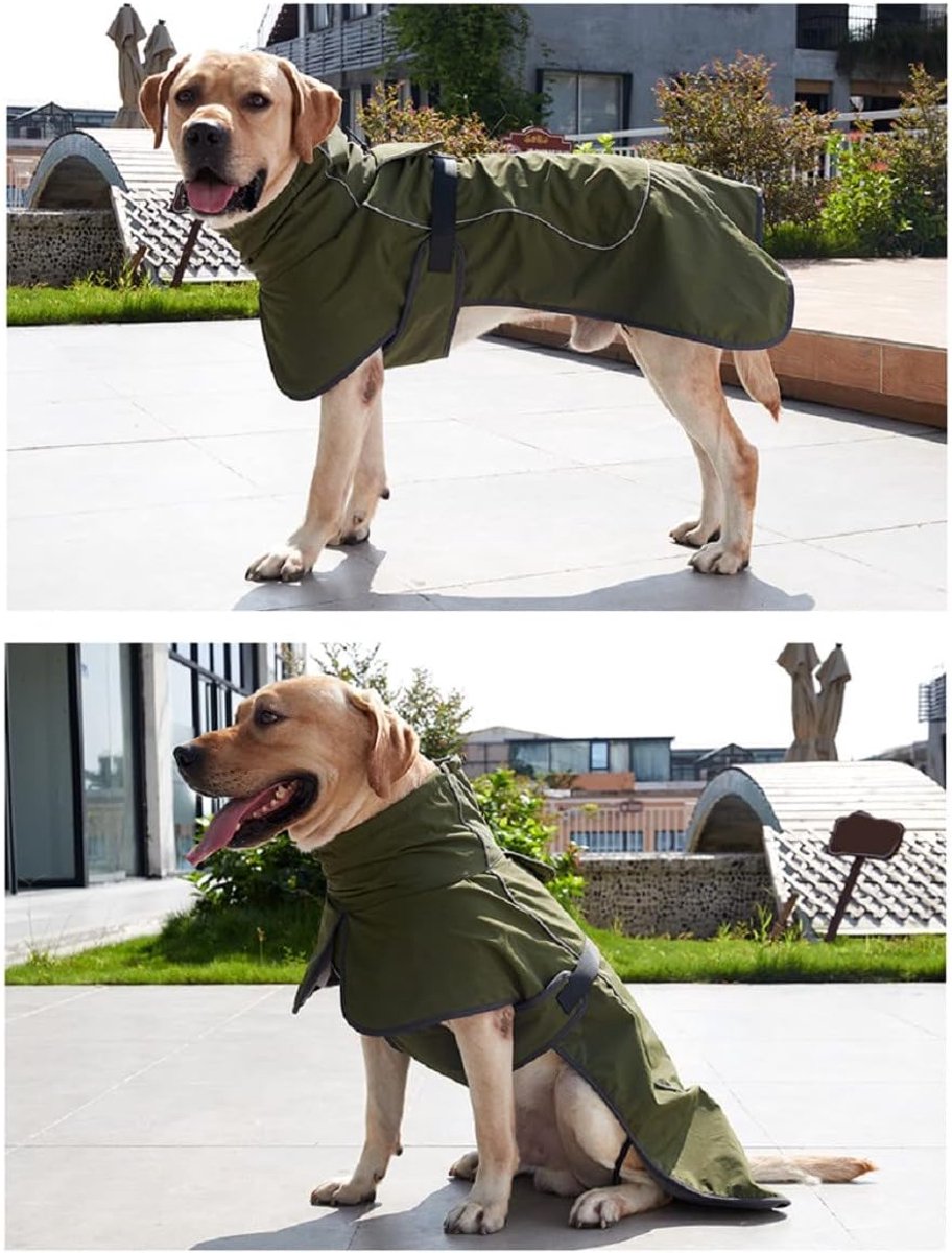 Dog Raincoat - Dog Jacket - Waterproof Winter Dog Coat - Windproof Dog Coat - Winter Dog Coat - Reflective Strip - Green - Size S - Perfect for Small โ image 5