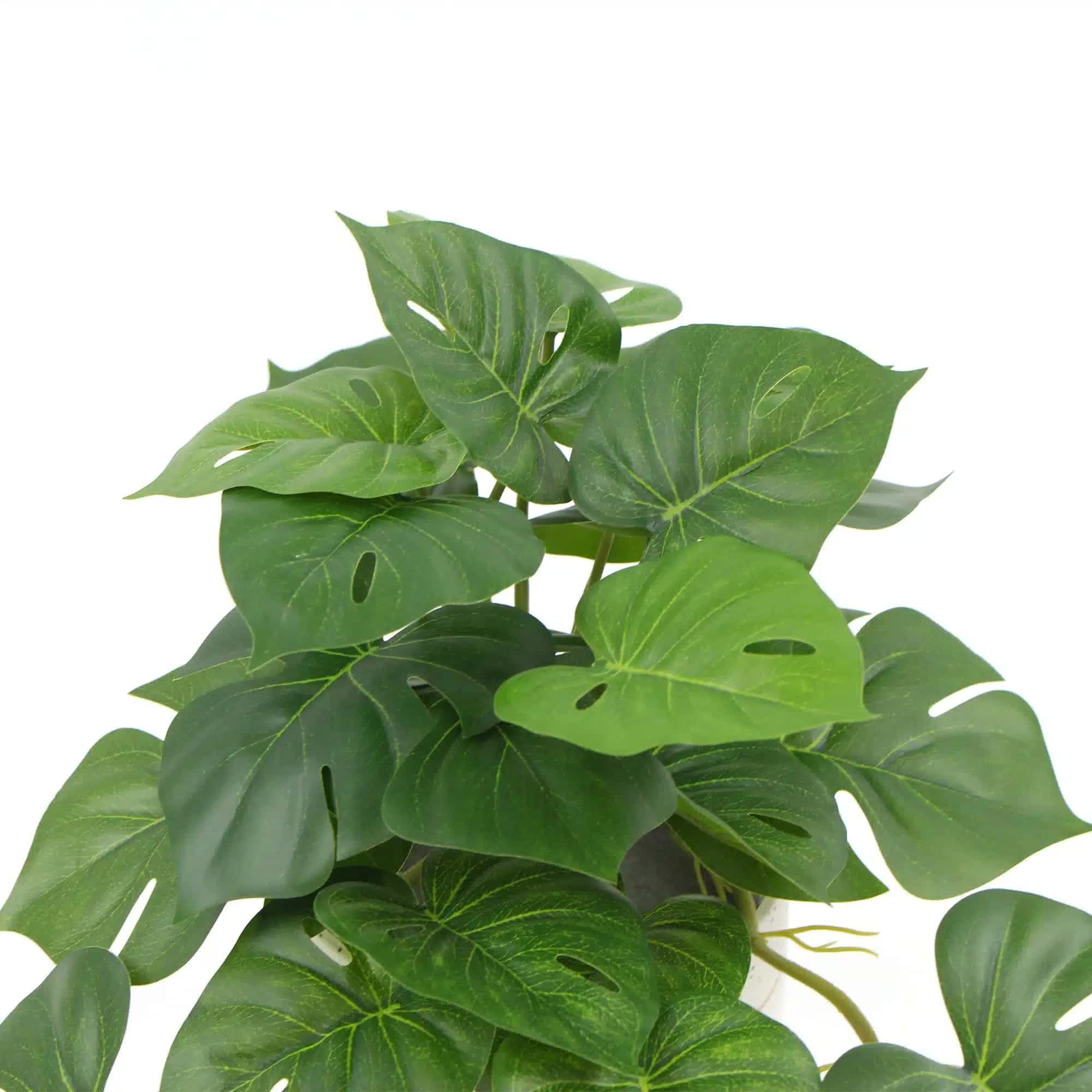 Decorative Artificial Monstera Adansonii Plant in Ceramic Bowl 30cm โ image 3
