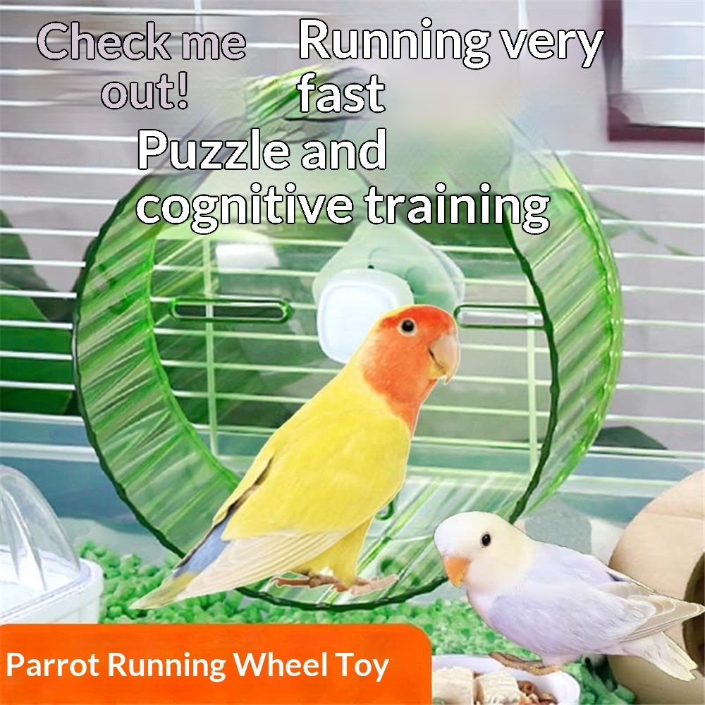 21cm Parrot Silent Running Wheel, Parrot Exercise Wheel, Birds, Parrots, Turtles, Hamsters, Small Animal Quiet Running Wheel (Green) โ image 3