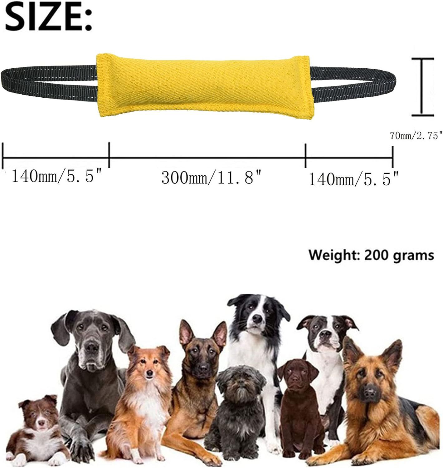 Blue Durable 2-Pack Tug-of-War Dog Training Toy - Tear-Resistant, Safe & Interactive for All Breeds โ image 2