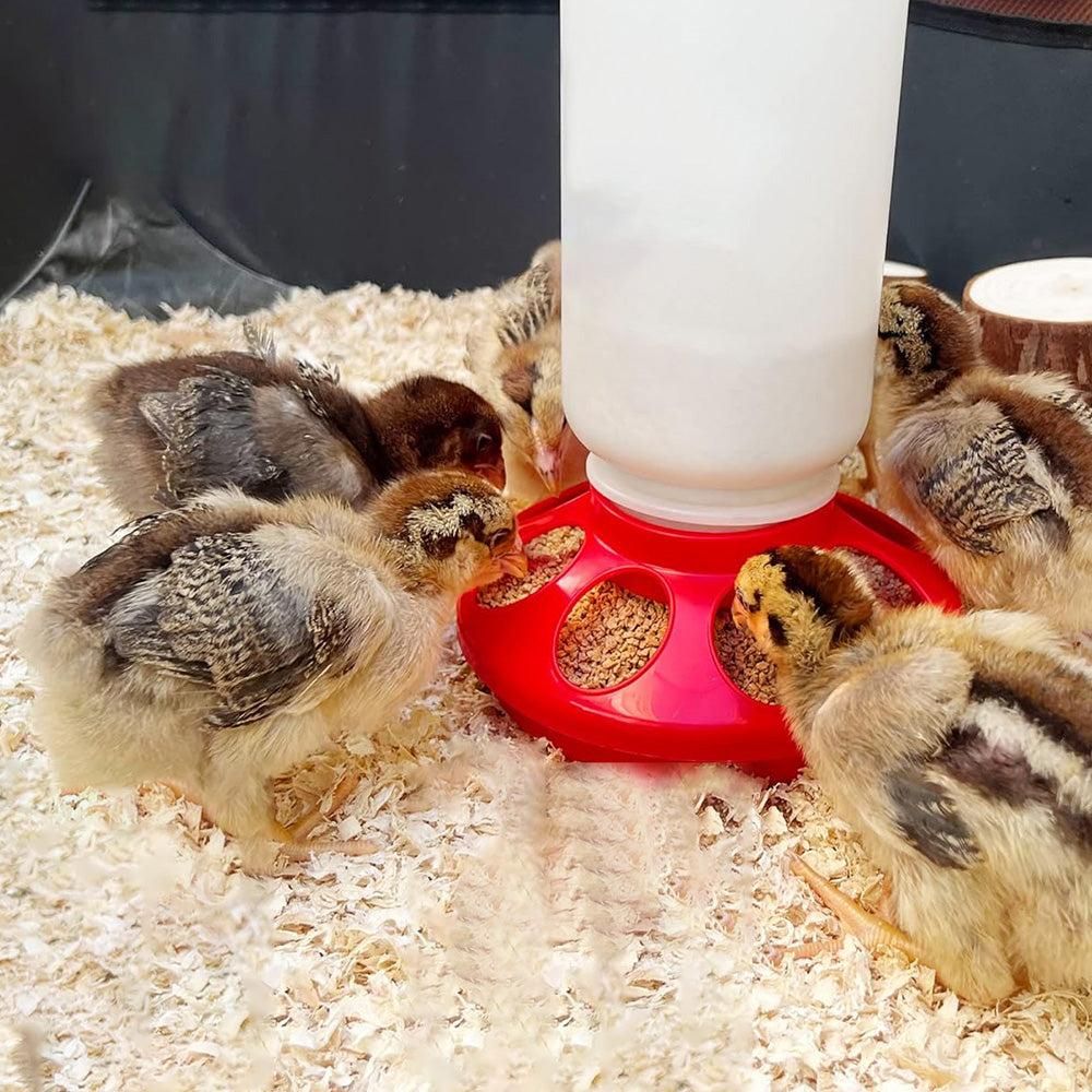 1L Chick Food Feeder and 1.5L Chicken Water Feeder Kit for Chick Aviaries — image 3