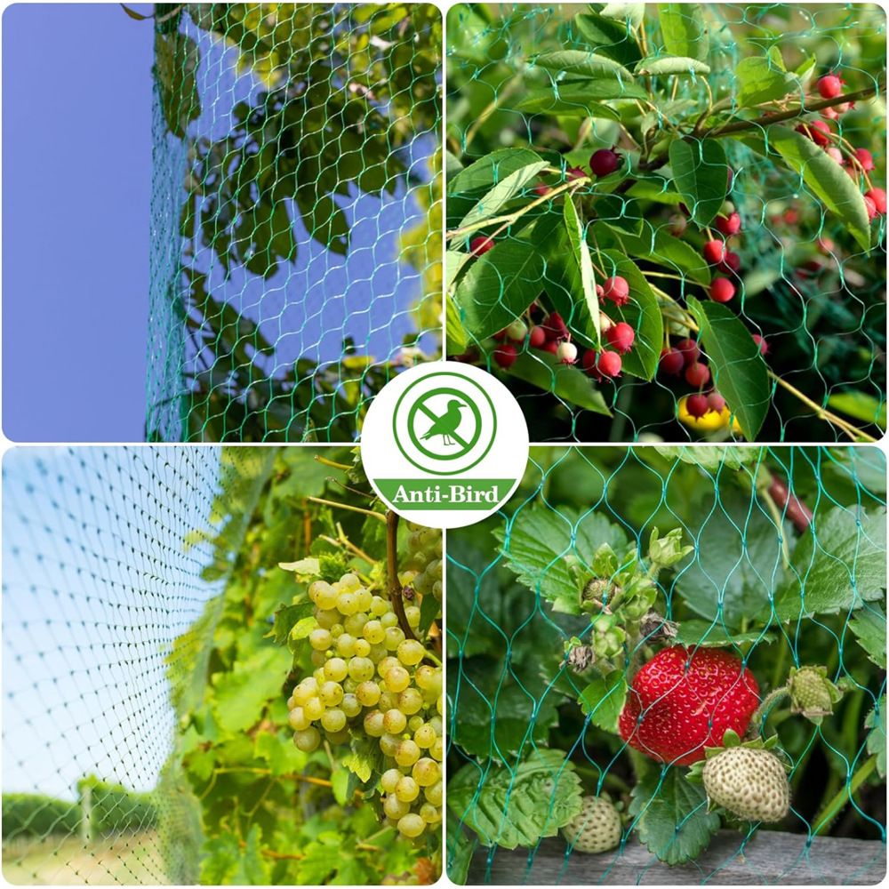 Bird Netting for Garden (2×10m) Garden Netting Pest Barrier,Cicada Netting Protect Fruit Trees Blueberry Bushes Vegetable Plant — image 4