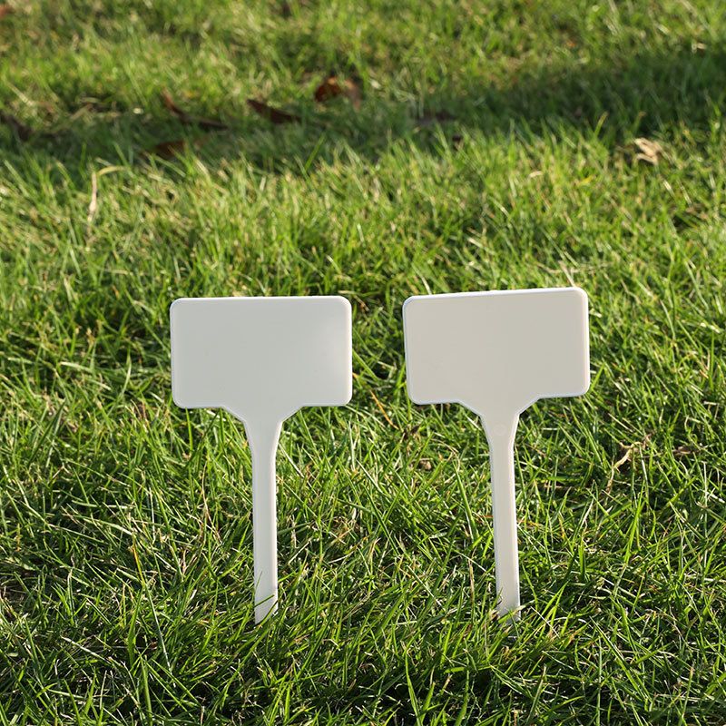 Large Plastic Plant Labels 6 Inch 50 Pack White Sturdy Extra Large T-Style Plastic Plant Labels for Flower beds,Plant pots — image 5