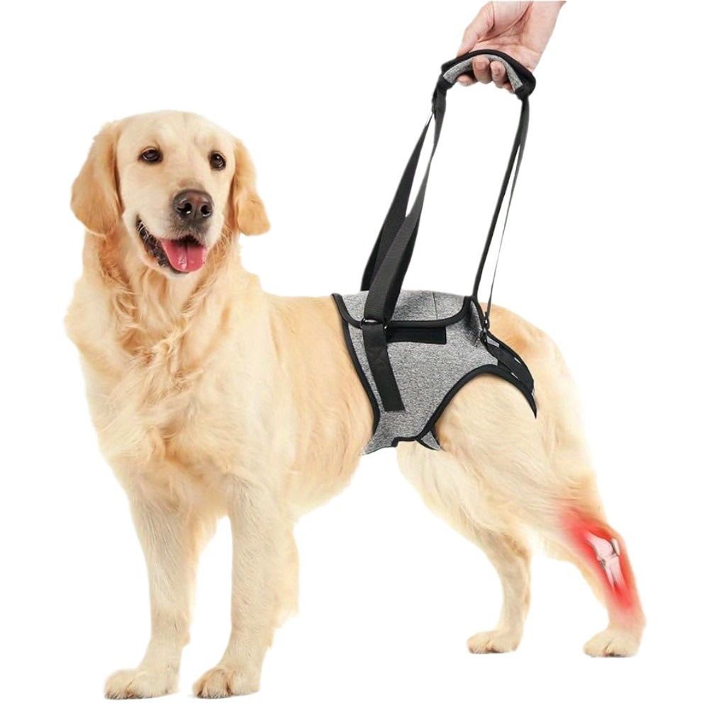 Dog Lift Harness - Adjustable Support for Medium Large Dogs, Comfortable Design with Padded Back Legs for Elderly, Injured, Arthritic, Senior, Disabled Dogs(M) — image 4
