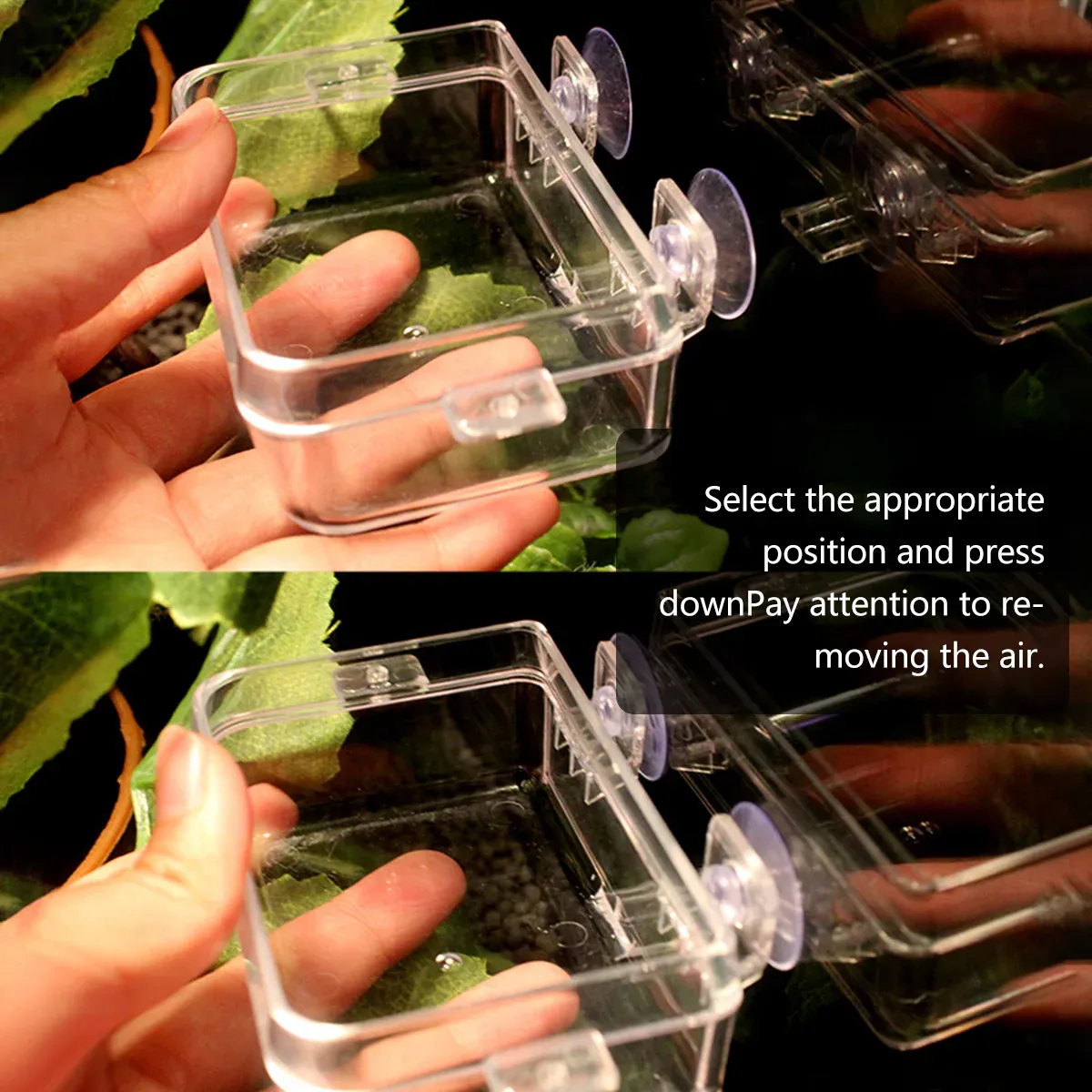 Suction Cup Reptile Feeder Dish Anti-escape Reptile Feeder For Snakes Turtles - Transparent - 6x9x2.5cm โ image 6