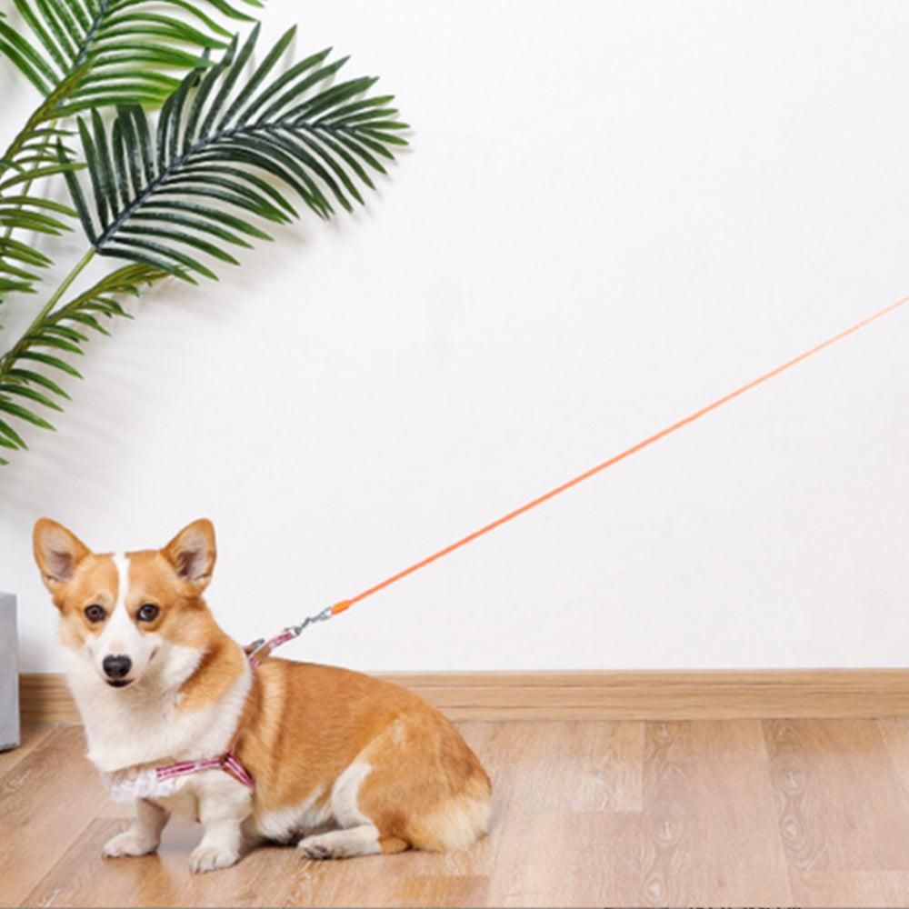 5M RGB Light Pet Leads Retractable Traction Rope Pet Cat Dog Leash Orange — image 3