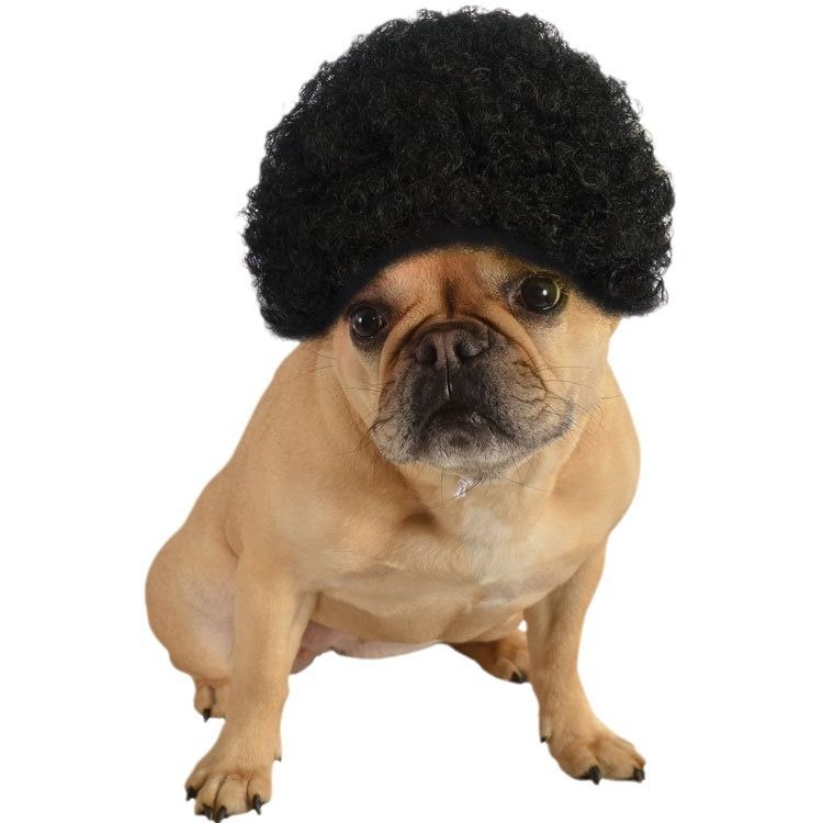 FUN OF PETS Pet Wig Short Curly Hair Black — image 3
