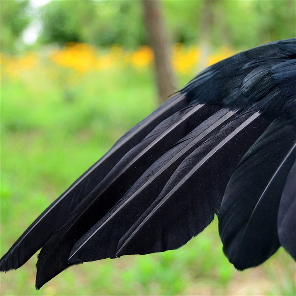 Black Crow Decoration Halloween Realistic Feathered Crows Haunted House Decor for Party Decoration Supplies — image 5