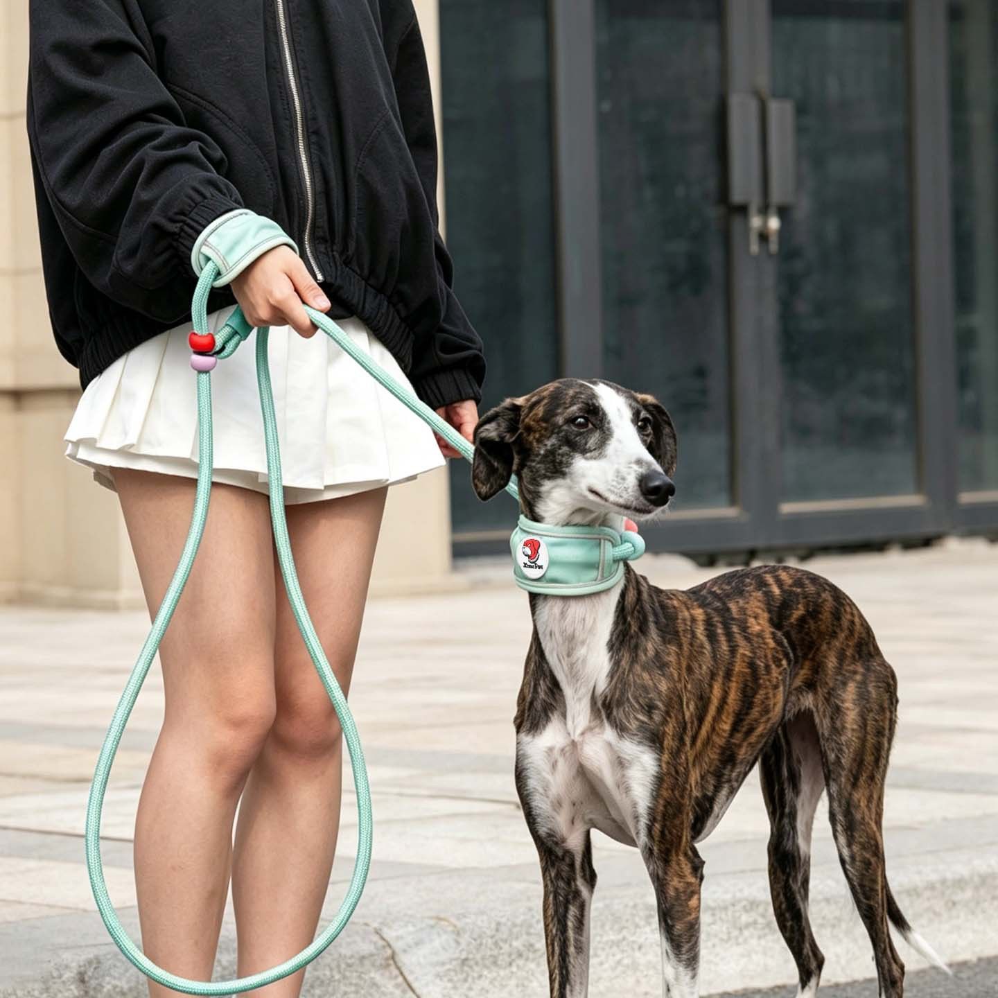 GROW&TAIL Nylon Dog Leash Buffer Handle for Large Dogs — image 3