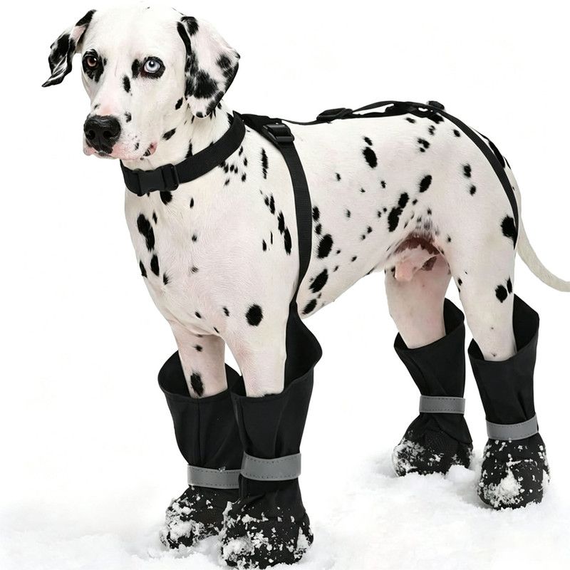 Waterproof Dog Boots With Suspenders, Adjustable Non Slip Paw Protectors For Outdoor Walks, Small To Medium Dogs, Black, Size XS โ image 3