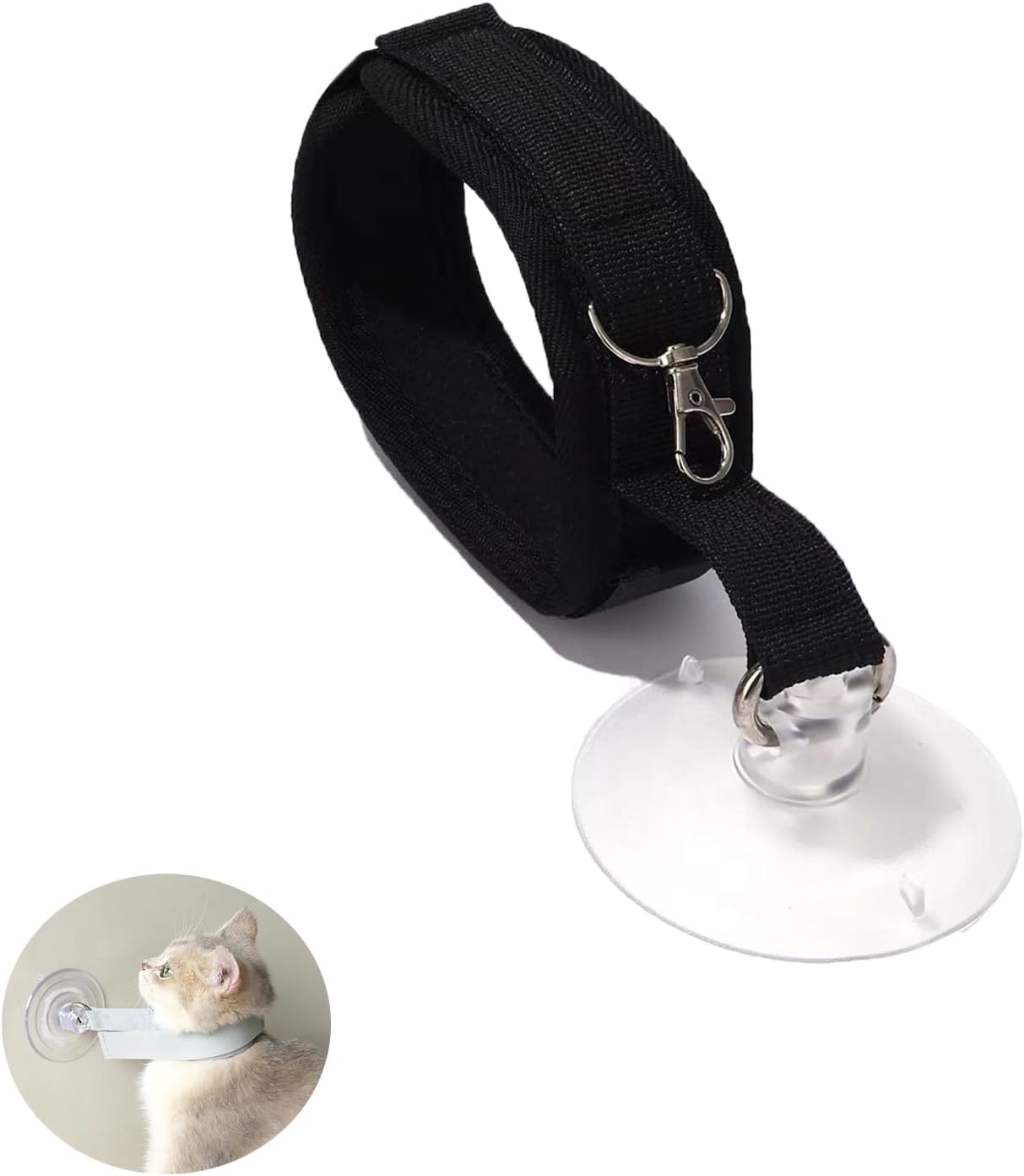 Dog leash - Cat leash - Coat care - Dog accessories - Cat accessories - Grooming table - Pet supplies - Grooming set - Bath - Shower - Suction cup - Safety