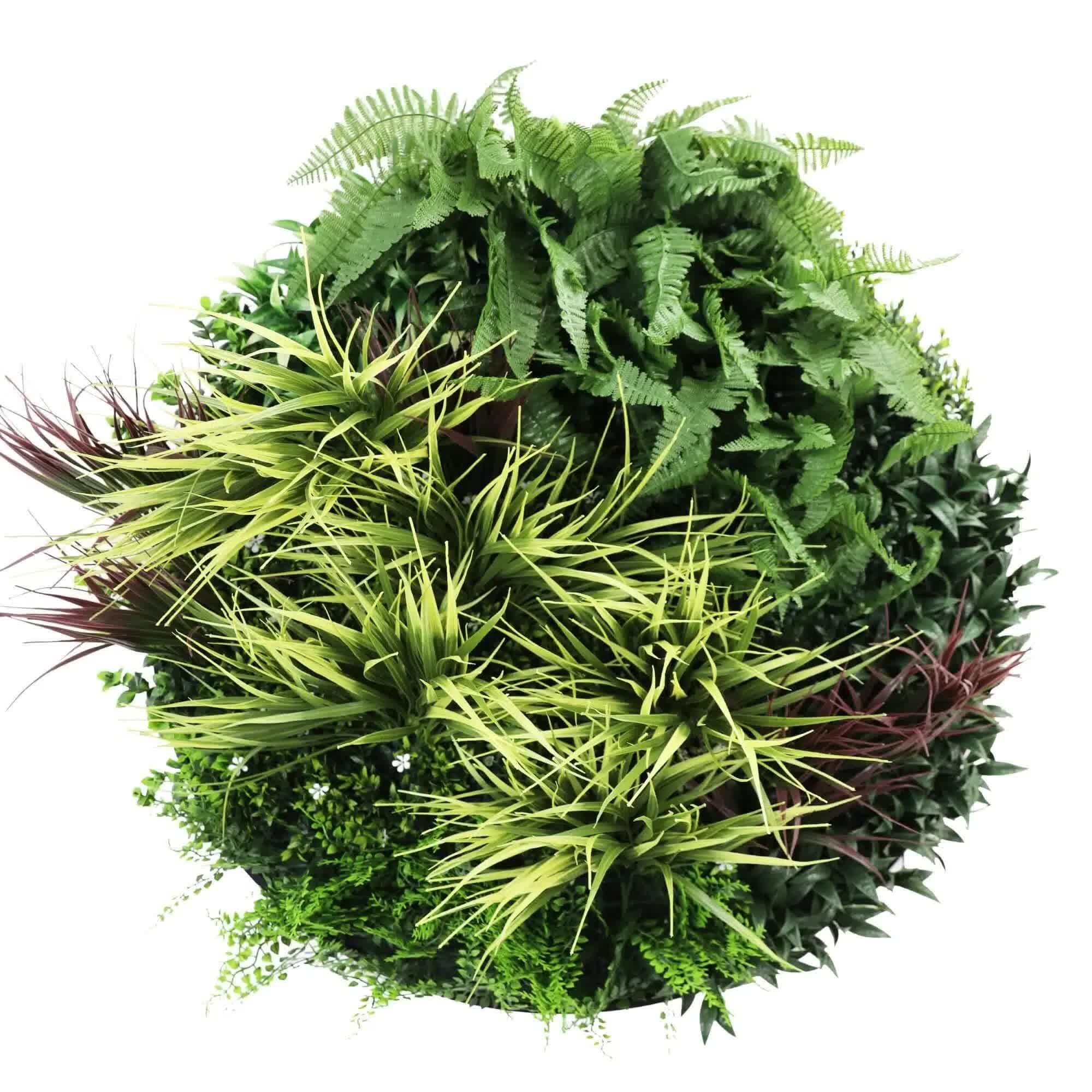 Slimline Artificial Green Wall Disc Art 80cm Grassy Fern UV Resistant (Black) โ image 3