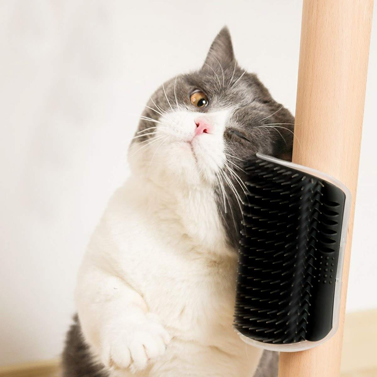 2 Pack Black Catnip Wall Massage Corner Brush for Long & Short Fur Cats and Kittens - Self Groomer Scratcher with Soft Comb — image 3