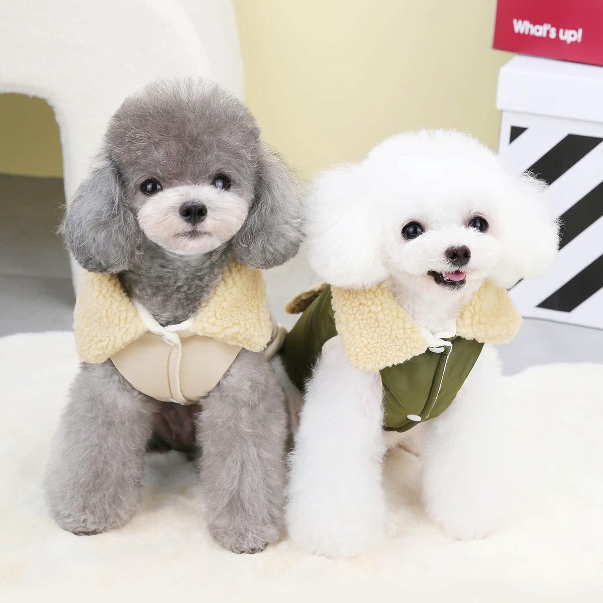 Dog Coat - Extreme Cold Weather Coat - Winter Dog Coat - Warm Dog Coat - Windproof Dog Coat - Velvet Dog Coat - Thick Winter Clothing - Fur Collar - Perfect — image 3