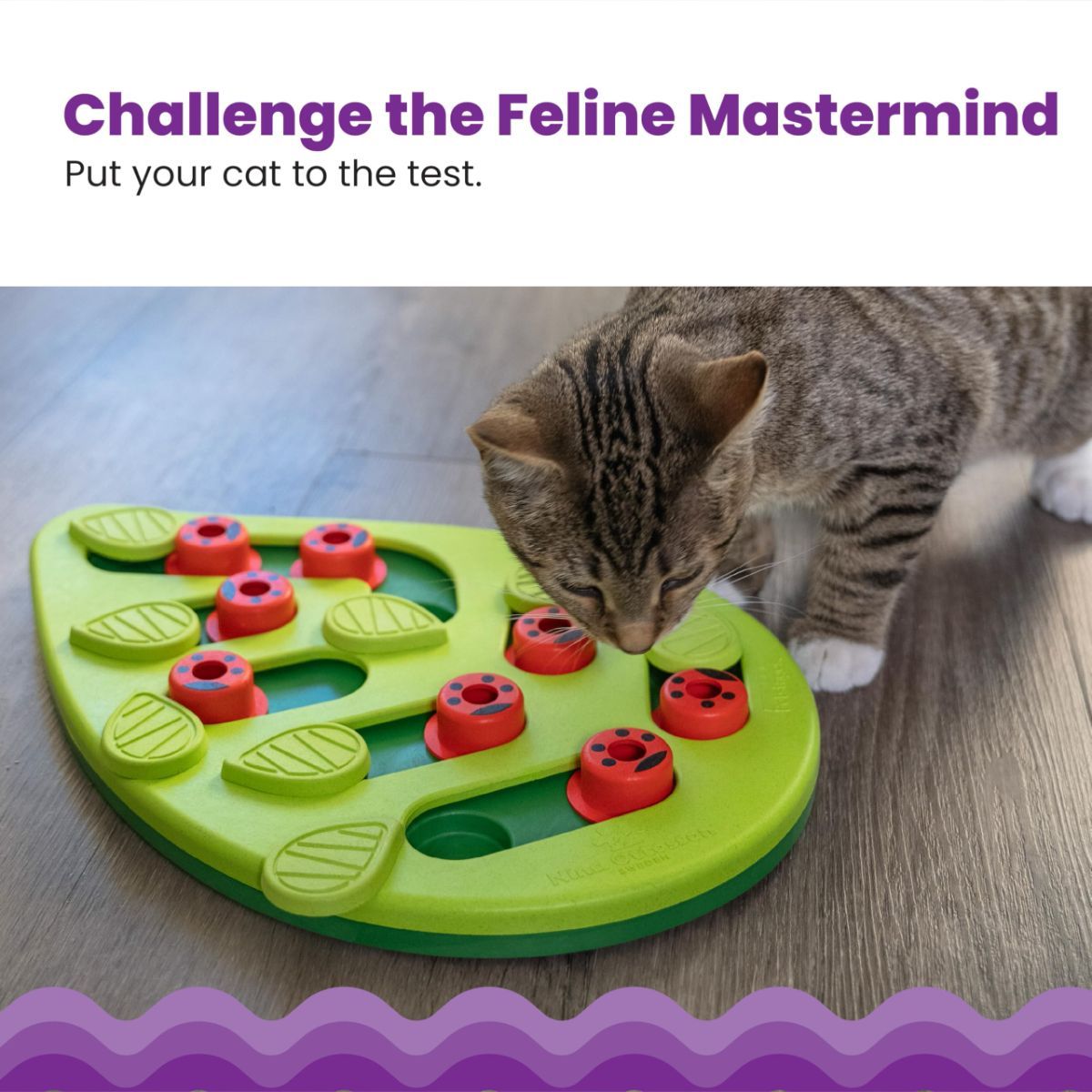 Cat Puzzle Feeder Indoor Cat Toy Interactive Treat Game Slow-Feeding Cat Toy โ image 5