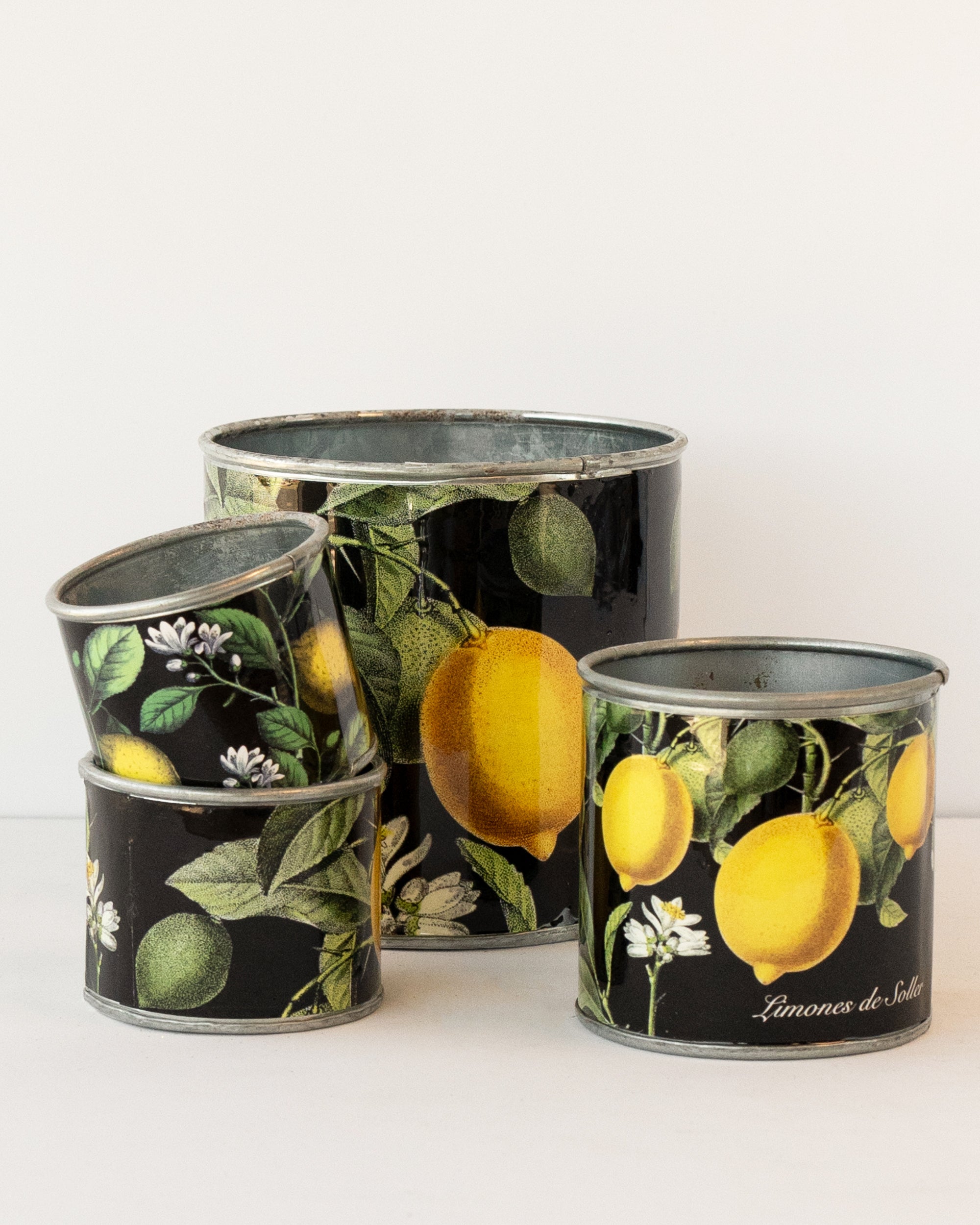 tin-planter-lemons-set-of-4