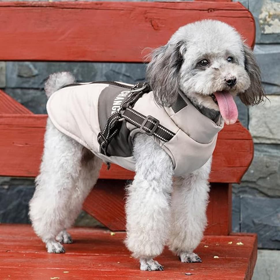 Warm Soft Winter Dog Vest Jacket with Stand Collar, Windproof Waterproof, Multiple Colors, Sizes S to XL XXL, Beige — image 6