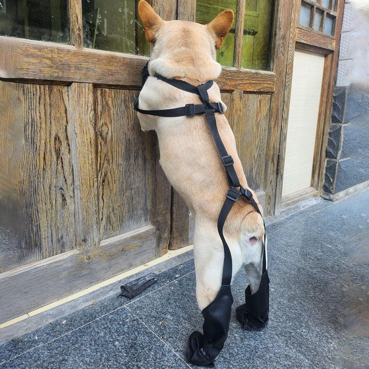 Dog Adjustable Suspender Boots Waterproof Dog Shoes Anti-Slip Pet Paw Protector - M — image 4