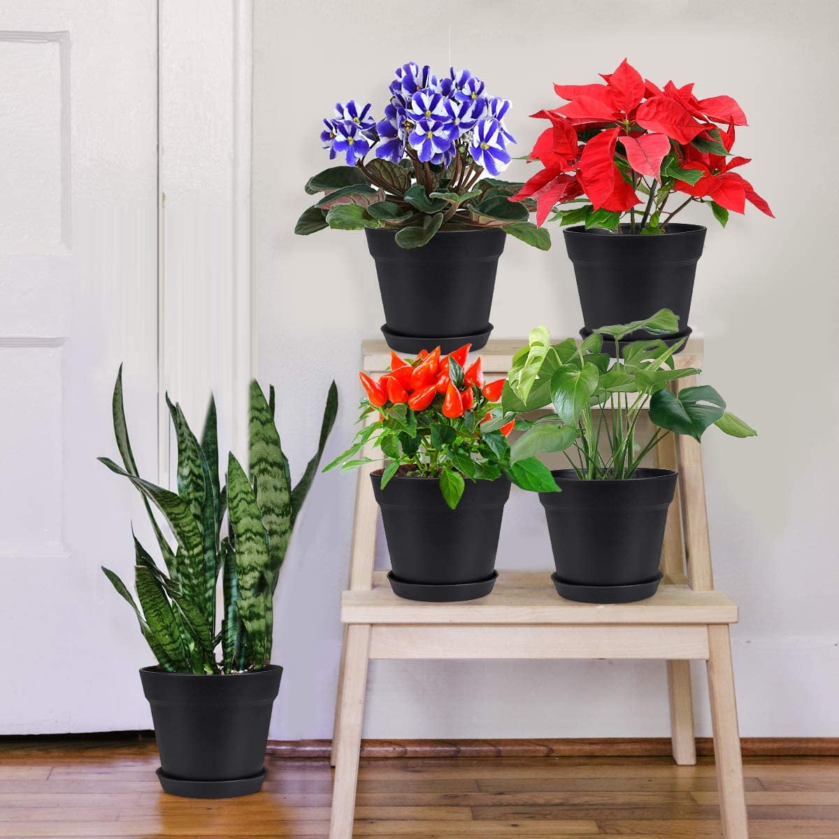 4 inch Plant Pots,Plastic Planters with Drainage Holes and Saucers for Flowers Plants, Succulents,Seed Starting Pots, Black，8Pack 4inch-Black — image 4
