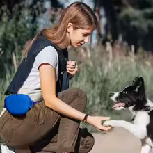 Black Silicone Dog Training Treat Pouch with Adjustable Waist Belt Hands-Free Pet Reward Bag for Outdoor Walks — image 2