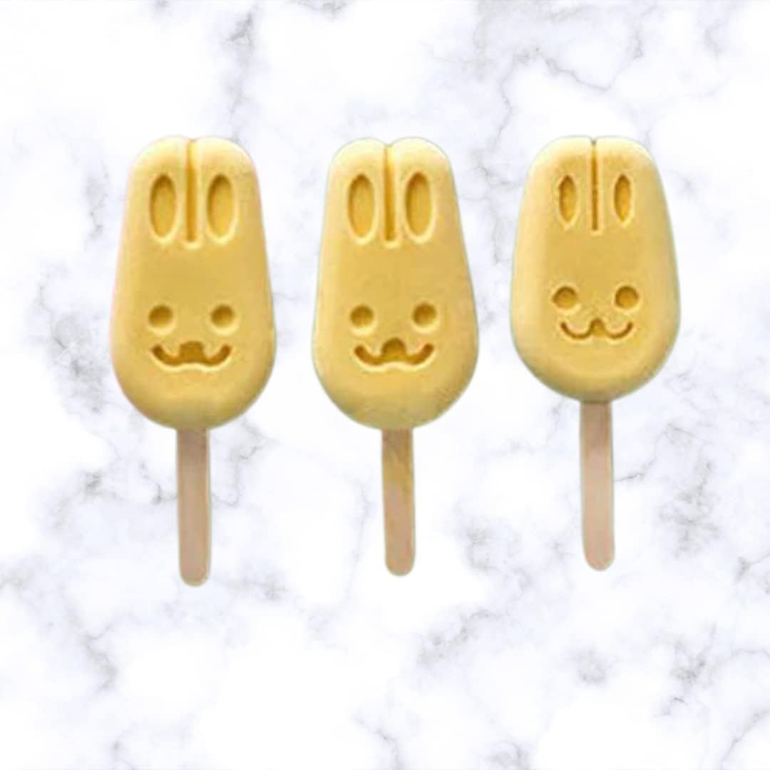 Popsicle Molds, 2 Pack Silicone Ice Pop Molds 5 Cavities with Lid, Homemade Ice Cream Mold for DIY Ice Cream — image 4