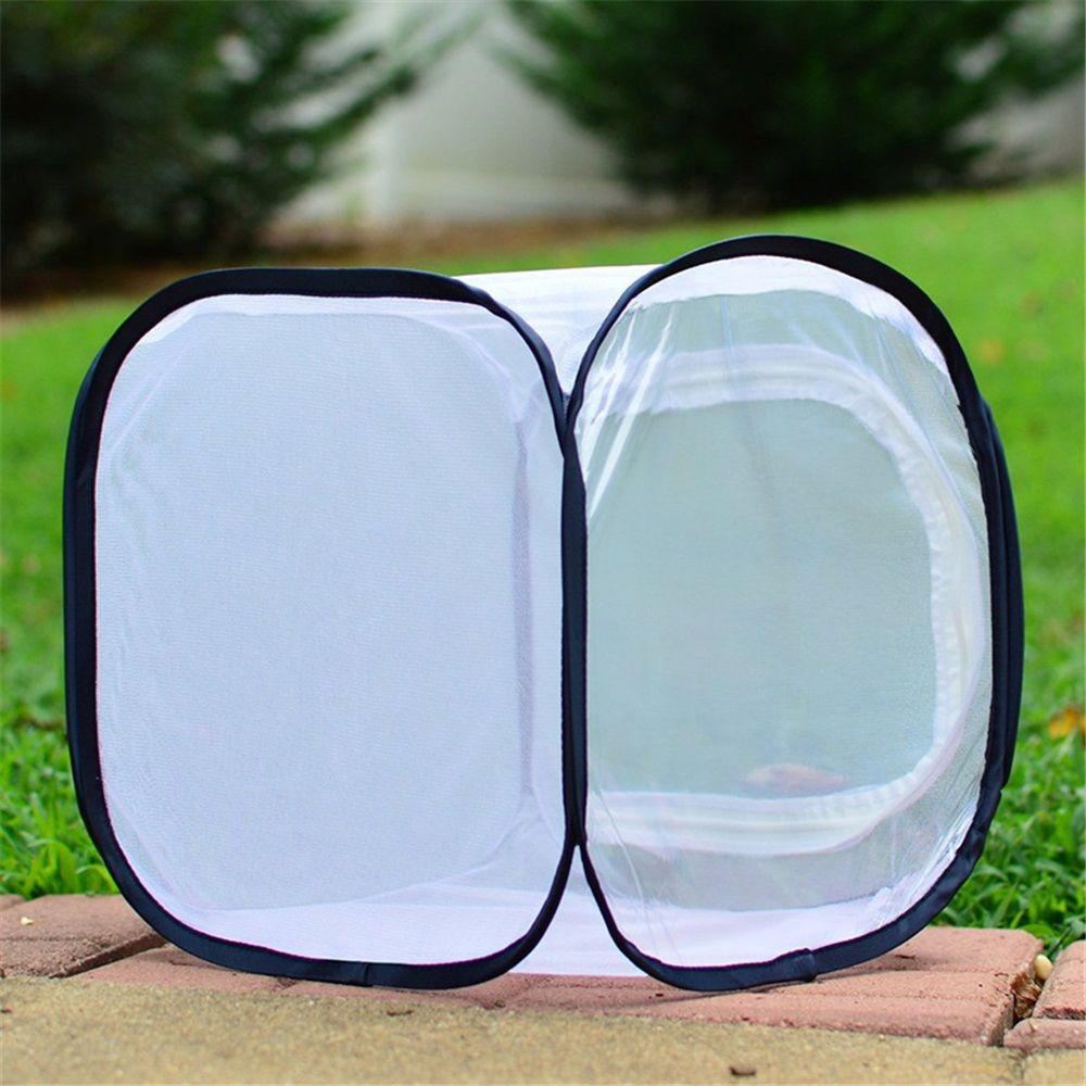 Butterfly Habitat,Outdoor Foldable Butterfly Cage Habitat Fine Mesh Stops - Mesh Panels for Air - Clear Window Panel for Easy Viewing โ image 2