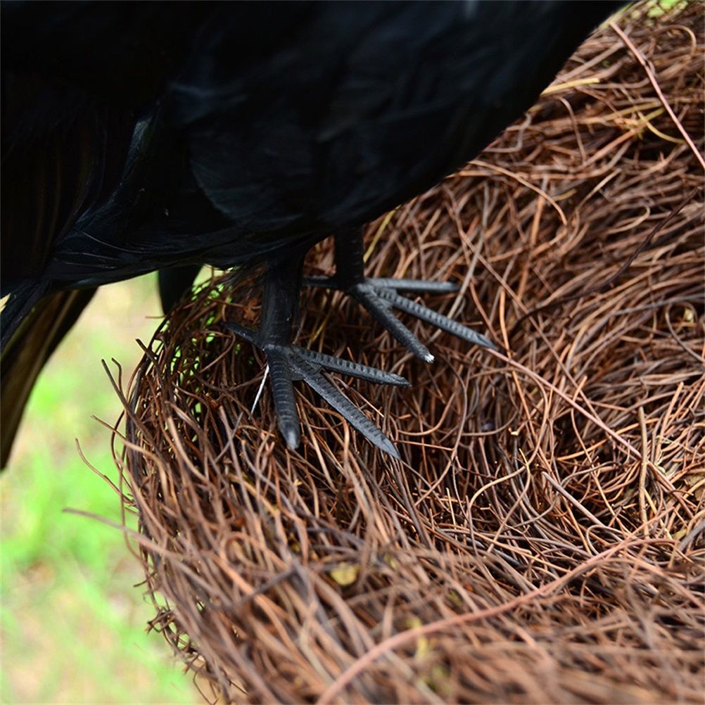 Black Crow Decoration Halloween Realistic Feathered Crows Haunted House Decor for Party Decoration Supplies — image 4