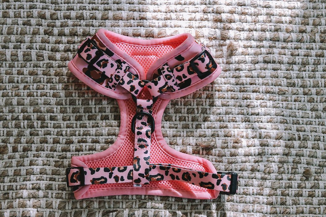 Designer Dog Harness — image 2