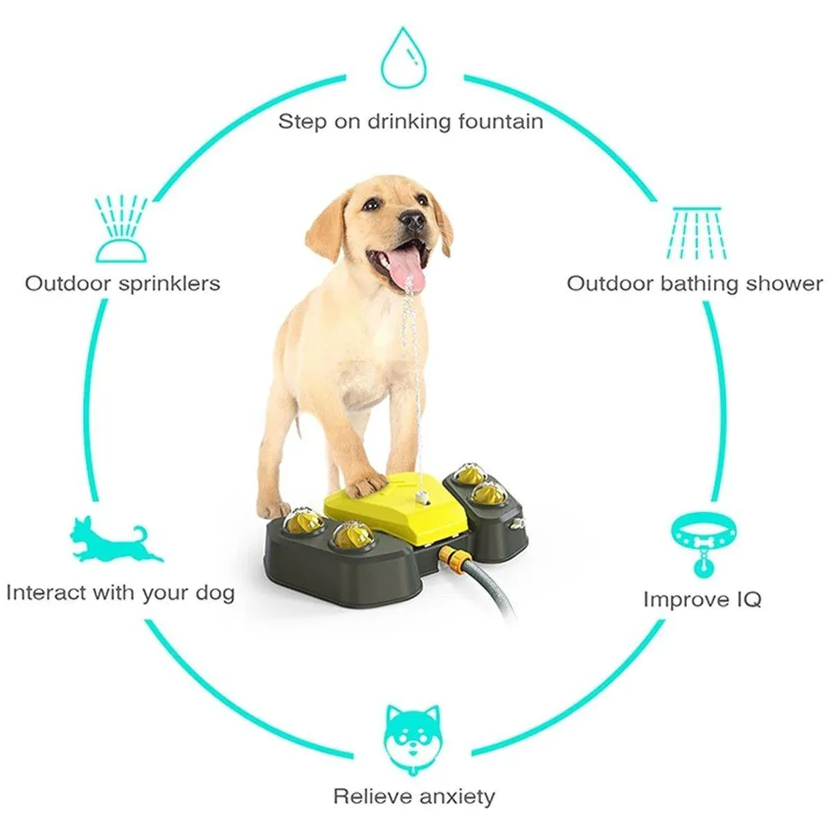 Automatic Water Feeder Dispenser with Bath Spray and Footstep Dog Toys for Pets - Grey — image 6