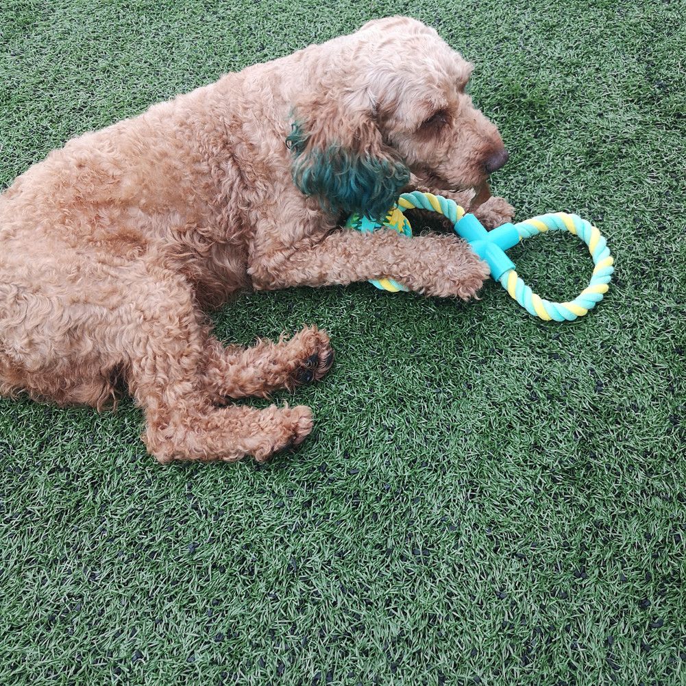 Interactive Dog Toys for Aggressive Chewers,Rope Toy for Dogs,Dog Toy Balls,Adjustable Food Dispensing Dog Toys to Keep Them Busy — image 5