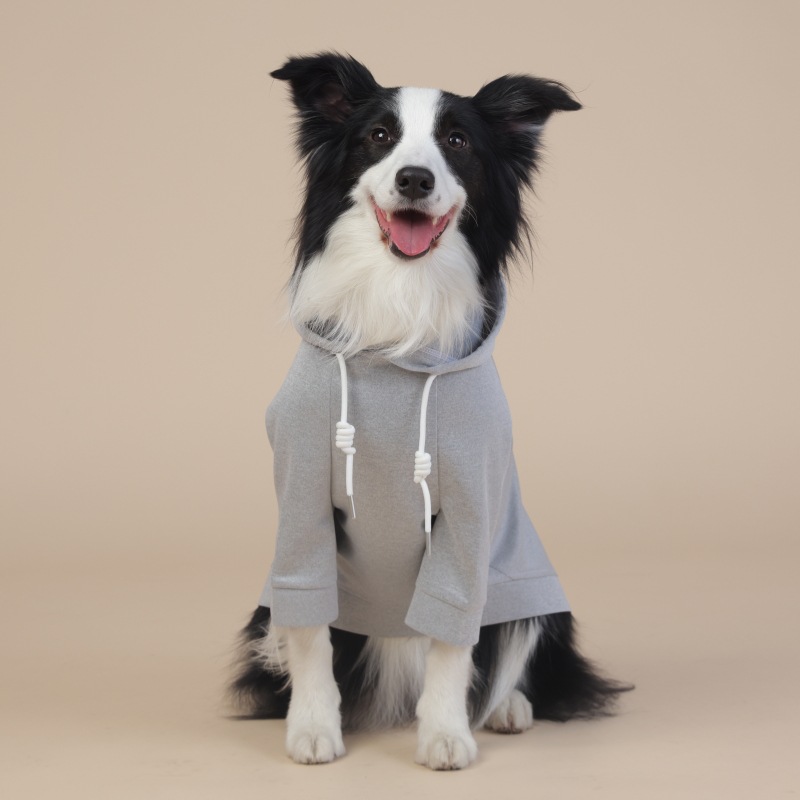 Grey Classic Dog Sweatshirt with Hood & Drawstrings - For Large Dogs (Size: XL)