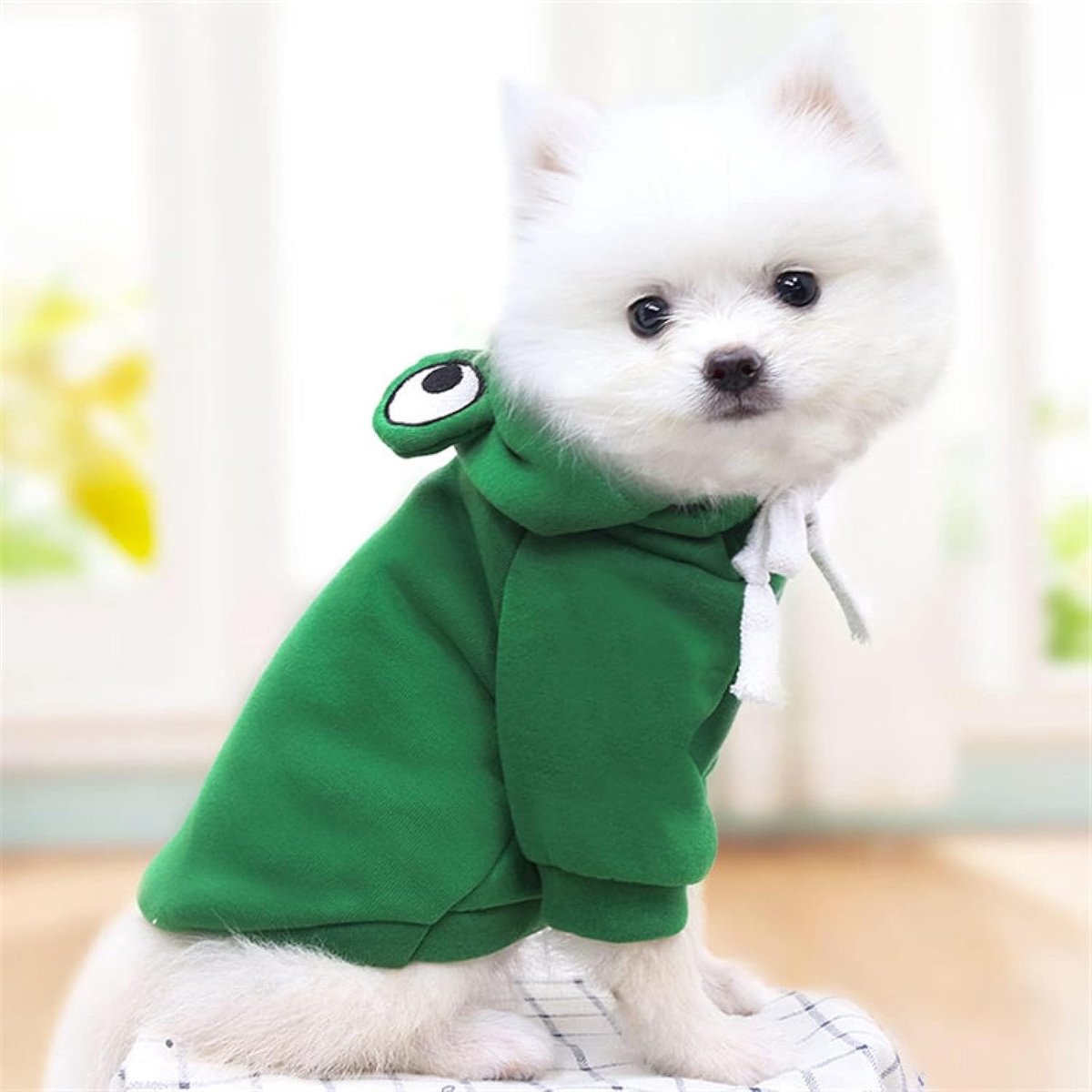 Dog Coat - Warm Winter Dog Clothes - Cute Frog Dog Coat - Hooded Sweatshirt - Warm Dog Coat - Fleece Dog Clothes - Perfect for French Bulldogs - Chihuahuas โ image 4
