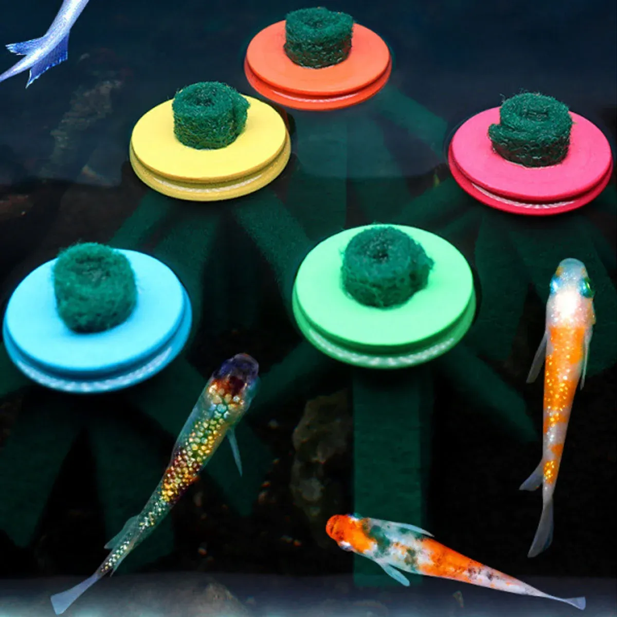 Fish Egg Collector Device Set 10PCS Floating Hanging Breeding Box Aquarium Tank — image 6