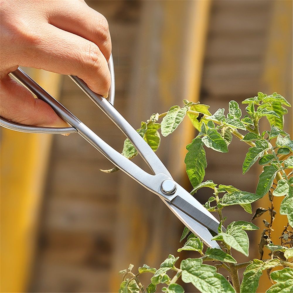 Tender leaf pruning,Bonsai Scissors Professional Grade Bonsai Shears steel integrated Bonsai Tools Equip With Tool Bag โ image 2