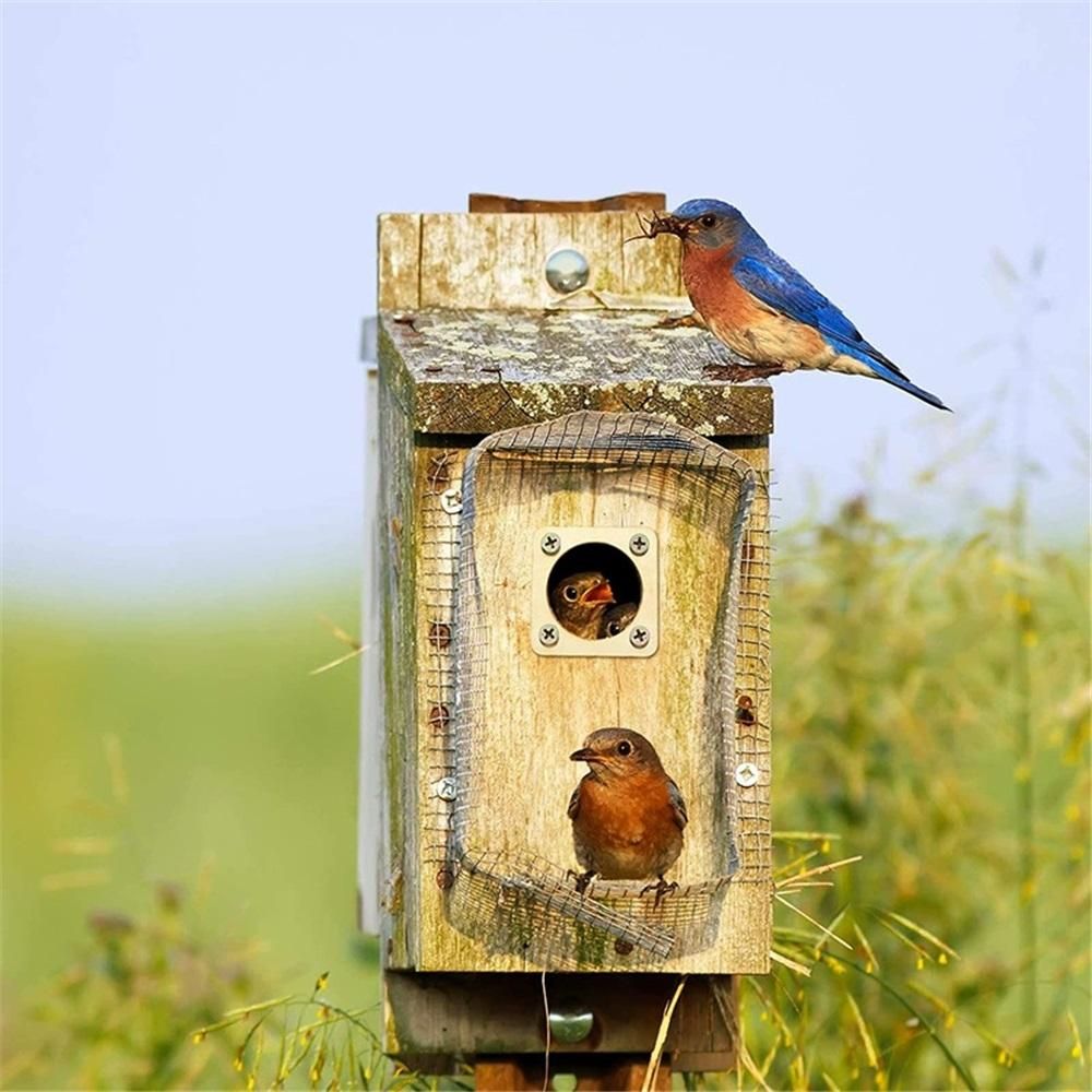 4-piece predator protection device suitable for bird houses, sturdy wooden bird house protection device, predator protection device for bird houses(Inner hole — image 4