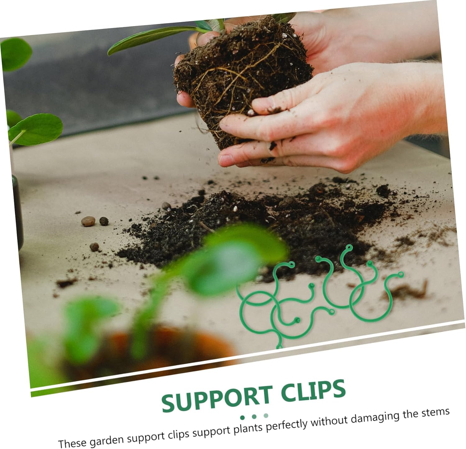 100 Pieces Plant Support Clips for Climbing Stems and Cut Flowers, Reusable Garden Ties for Indoor Plants, Vases and Flower Arranging, Green — image 3