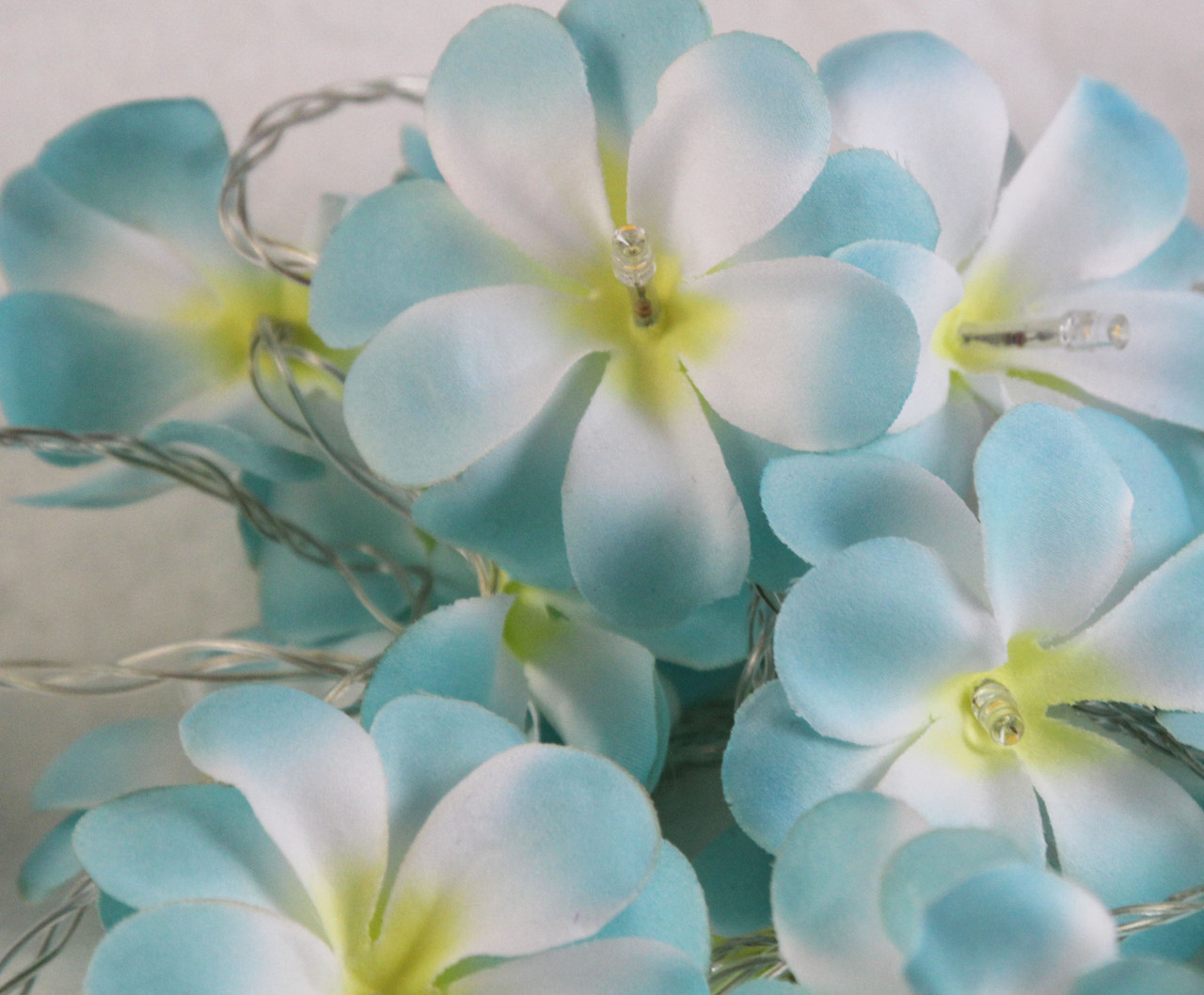 1 Set of 50 LED Tropical Blue Frangipani Flower Battery 5m LONG String Lights Christmas Gift Home Wedding Beach Party Decoration Outdoor Table