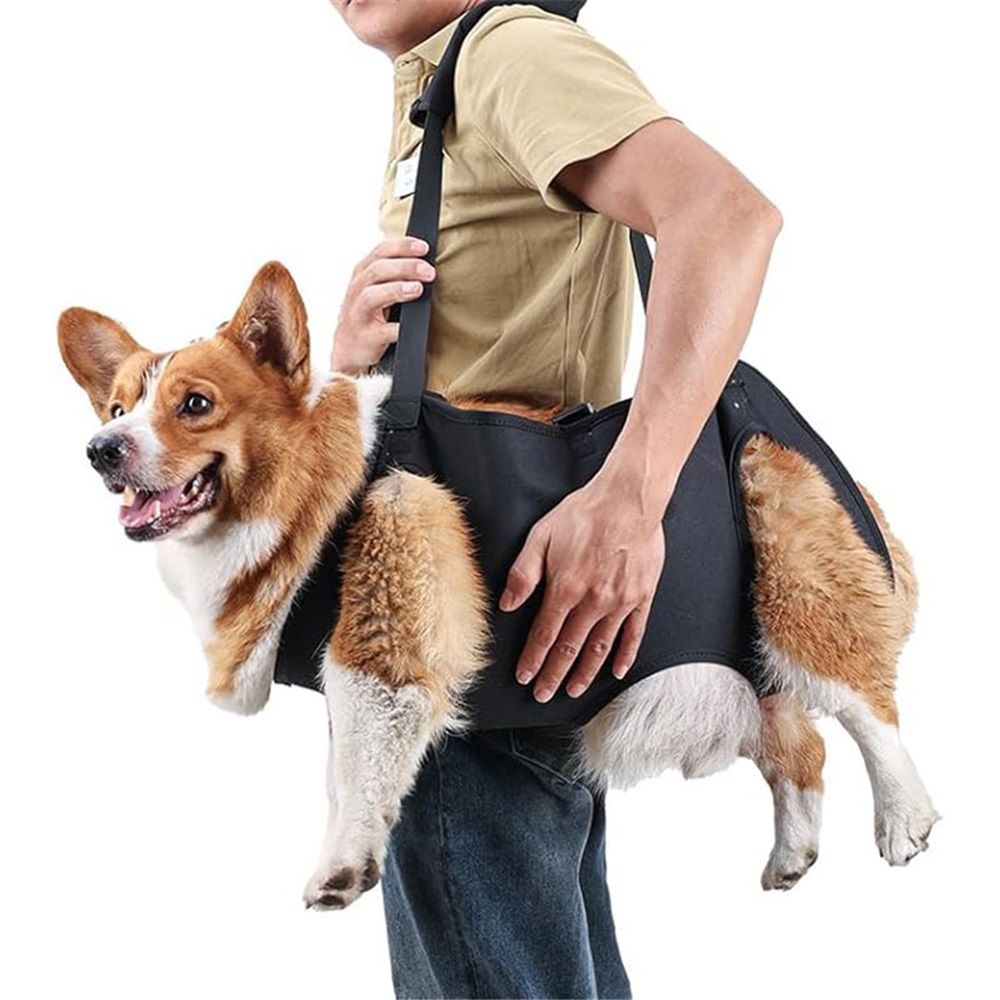 Dog Lift Harness, Emergency Backpack Pet Legs Support & Rehabilitation Sling Carrier, Adjustable Lifting Straps Carrier for Senior Elderly Dogs Joint Injuries — image 2