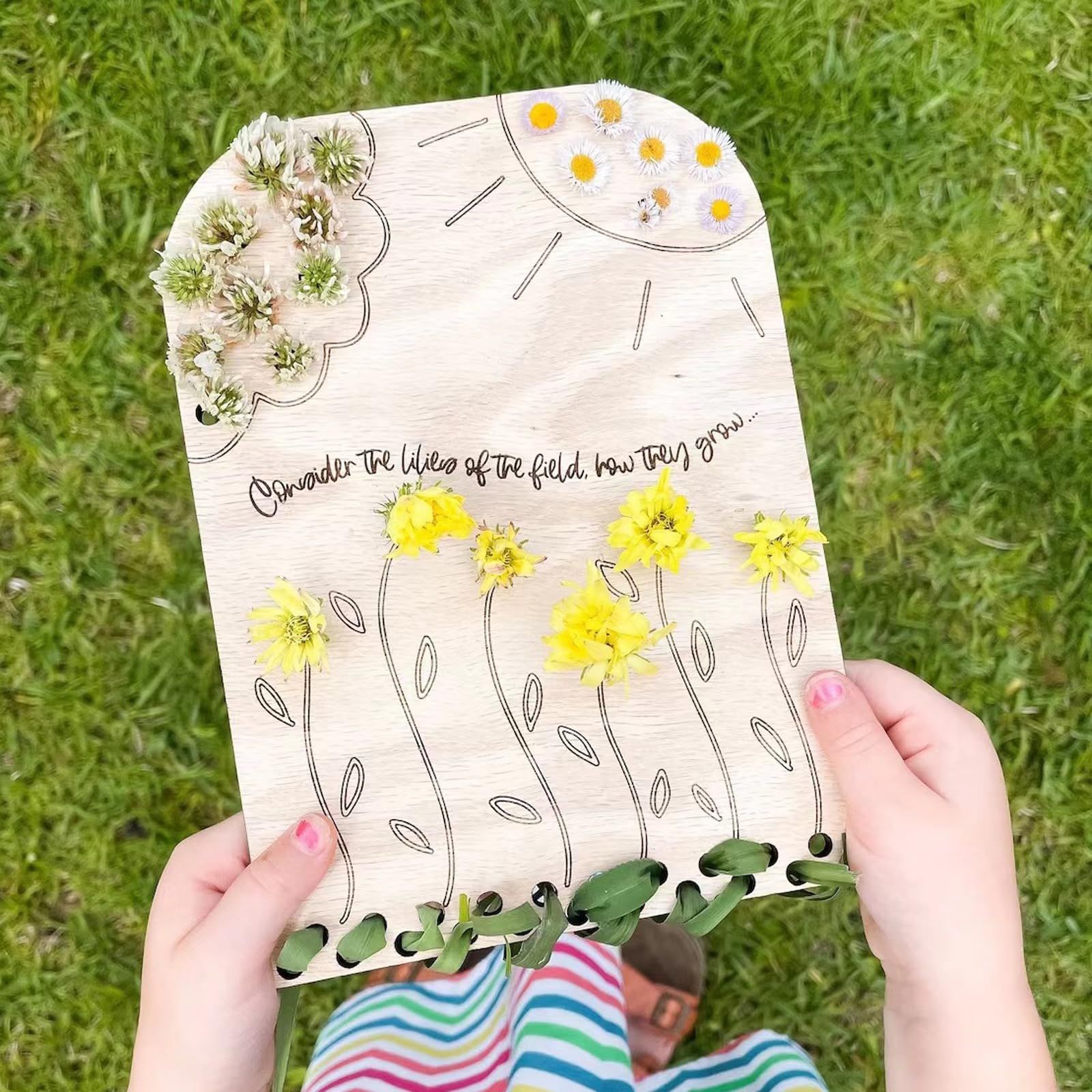 Flower Leaf Collector Boards DIY Flower Wood Boards Wooden Collection Board Decor Creative Crafting Supplies for Outdoor Nature — image 4